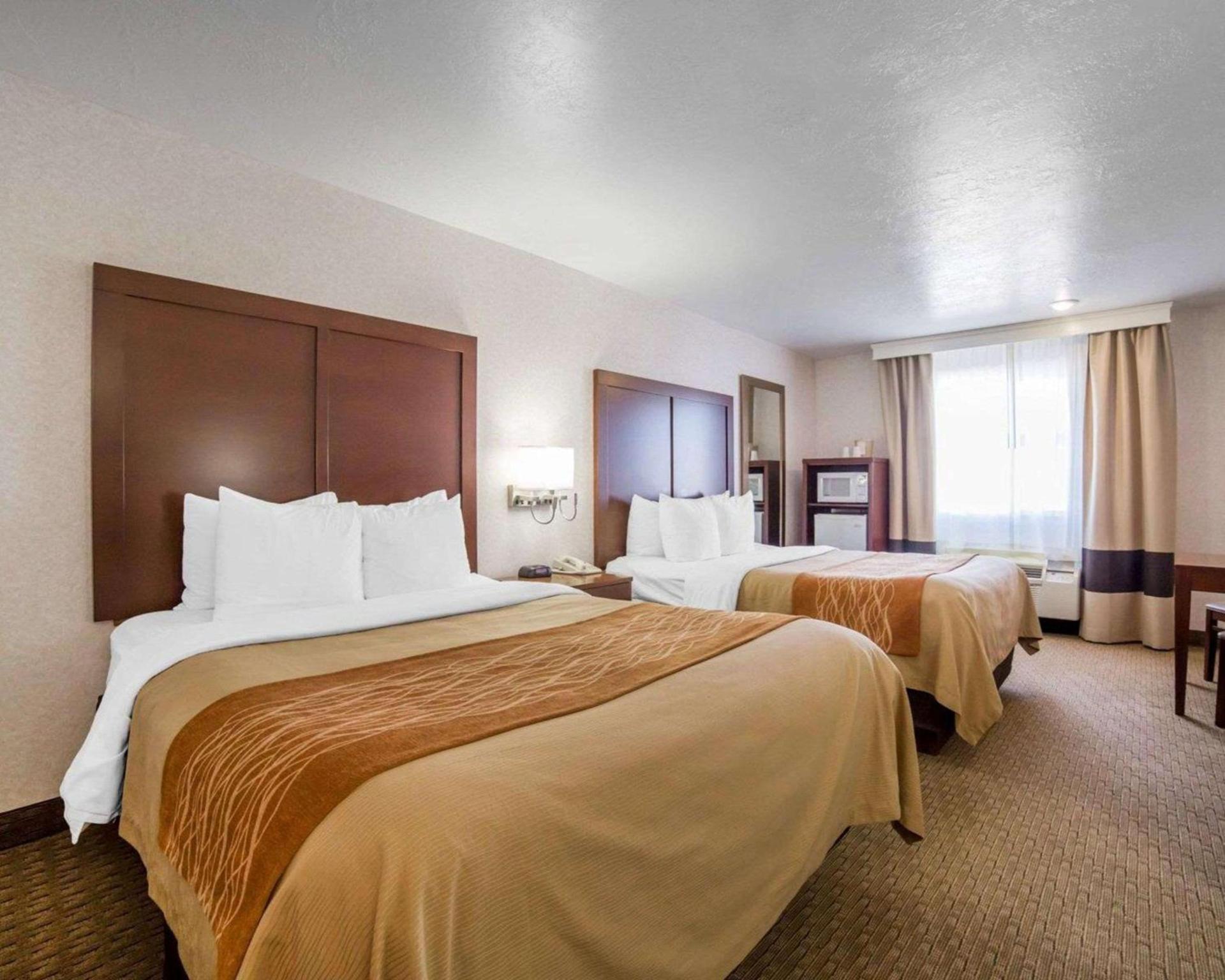 Comfort Inn Elko photo 8