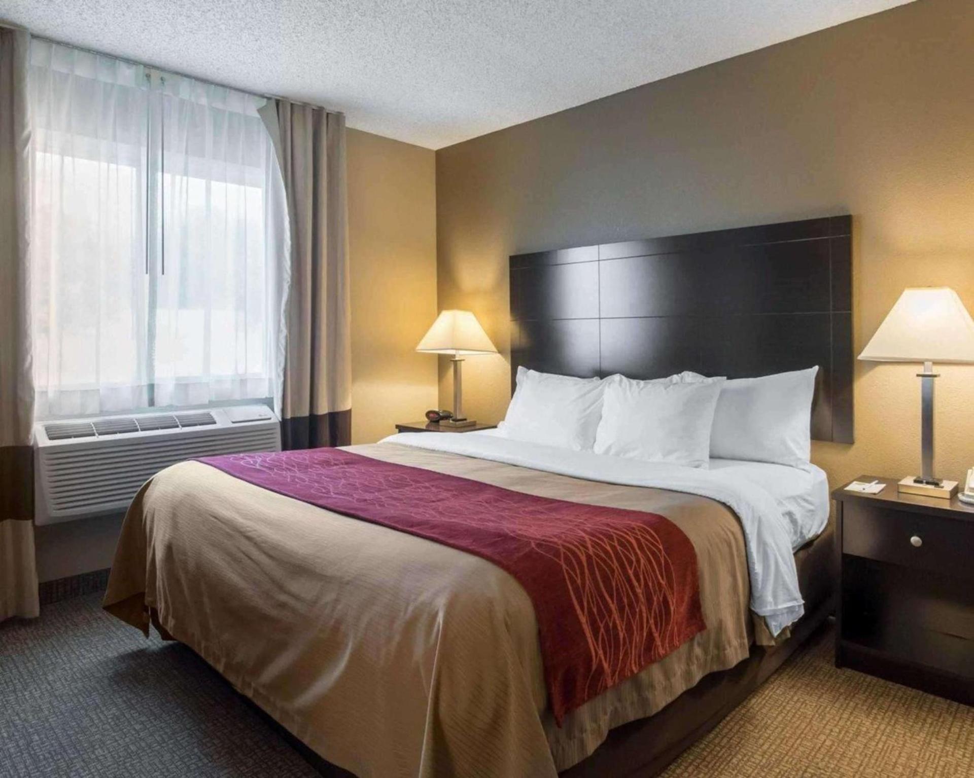 Comfort Inn Saugerties photo 20