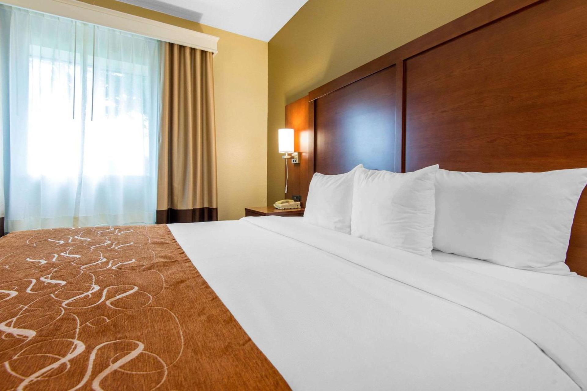 Comfort Suites Rochester Henrietta University Area photo 17