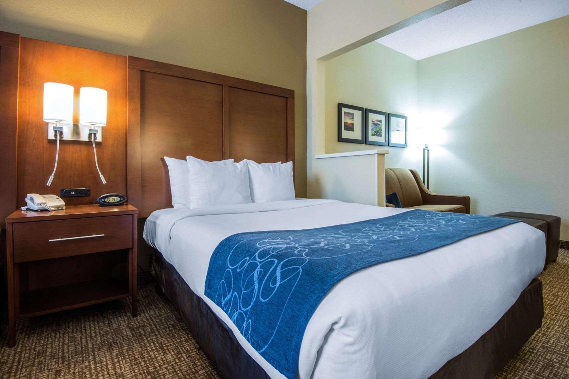Comfort Suites Rochester Henrietta University Area photo 15