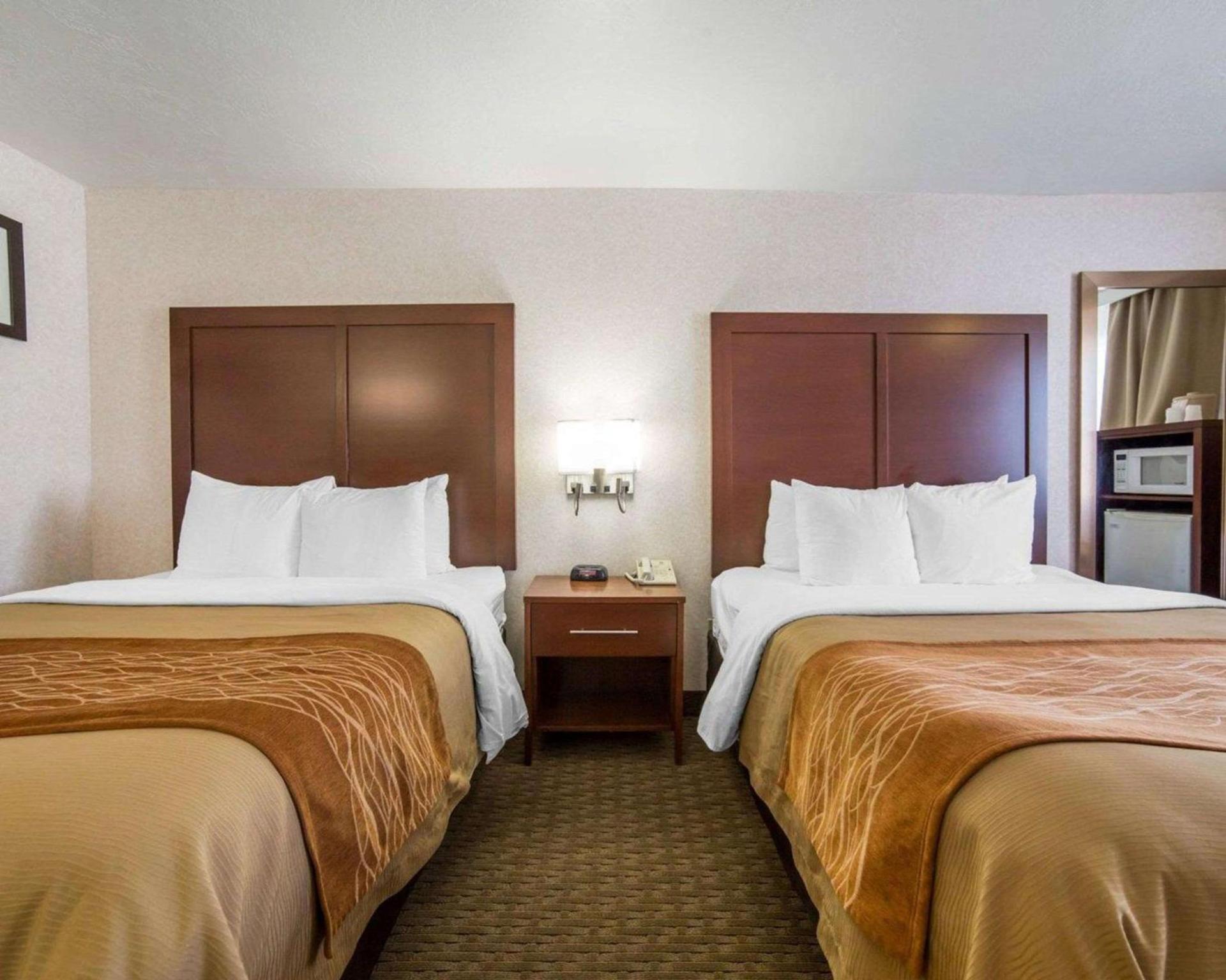 Comfort Inn Elko photo 12