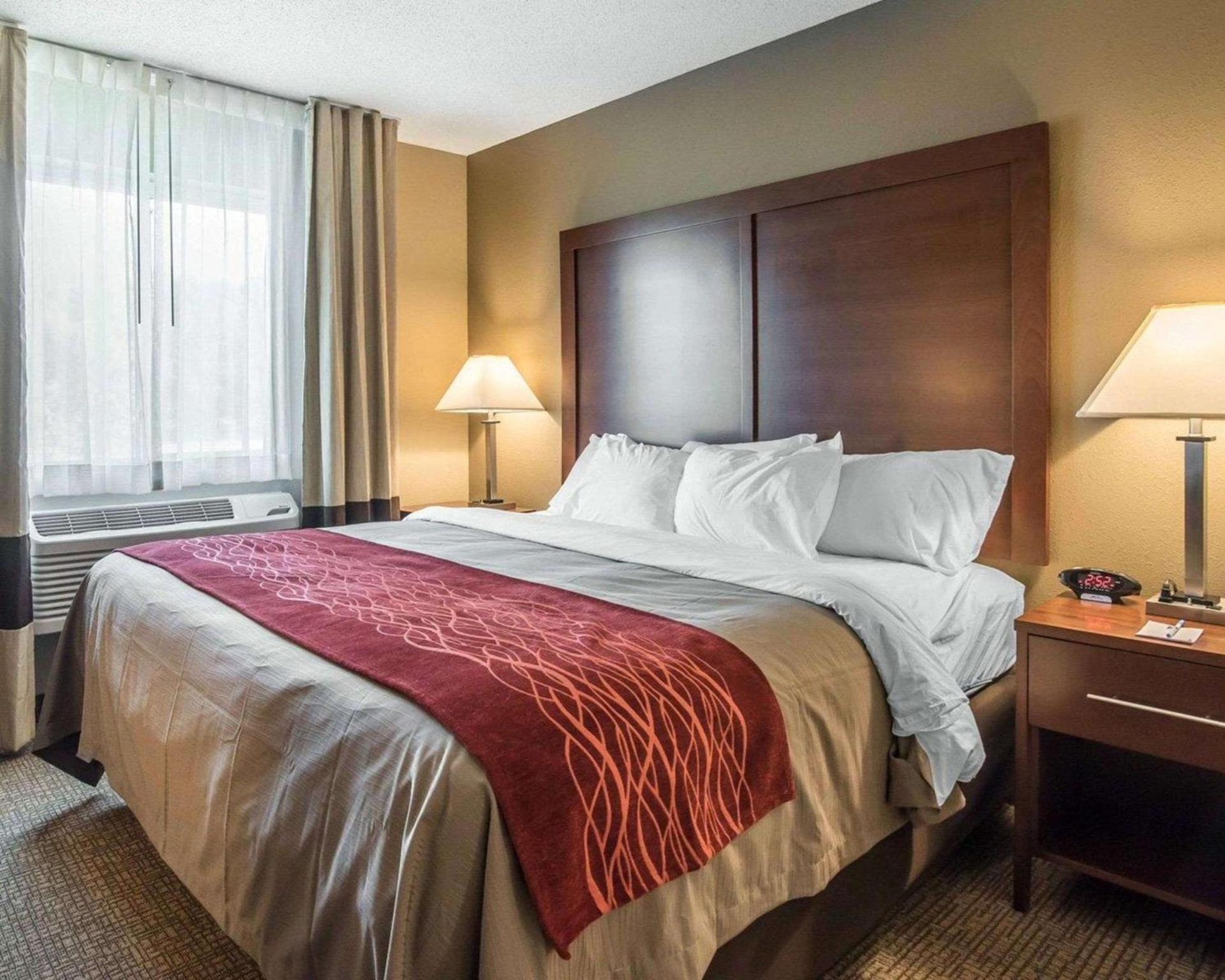 Comfort Inn Saugerties photo 35