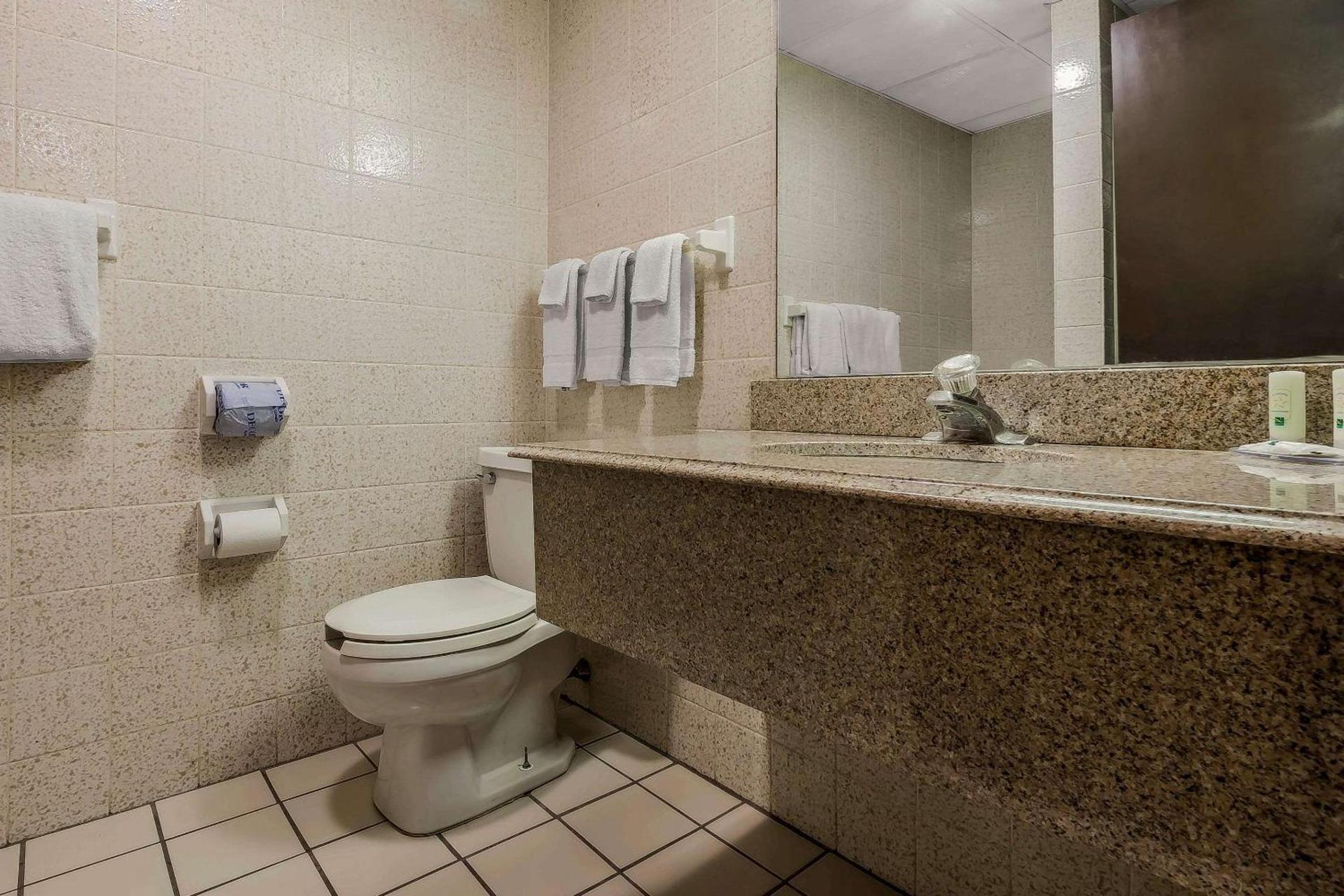 Quality Inn & Suites Binghamton Vestal photo 22