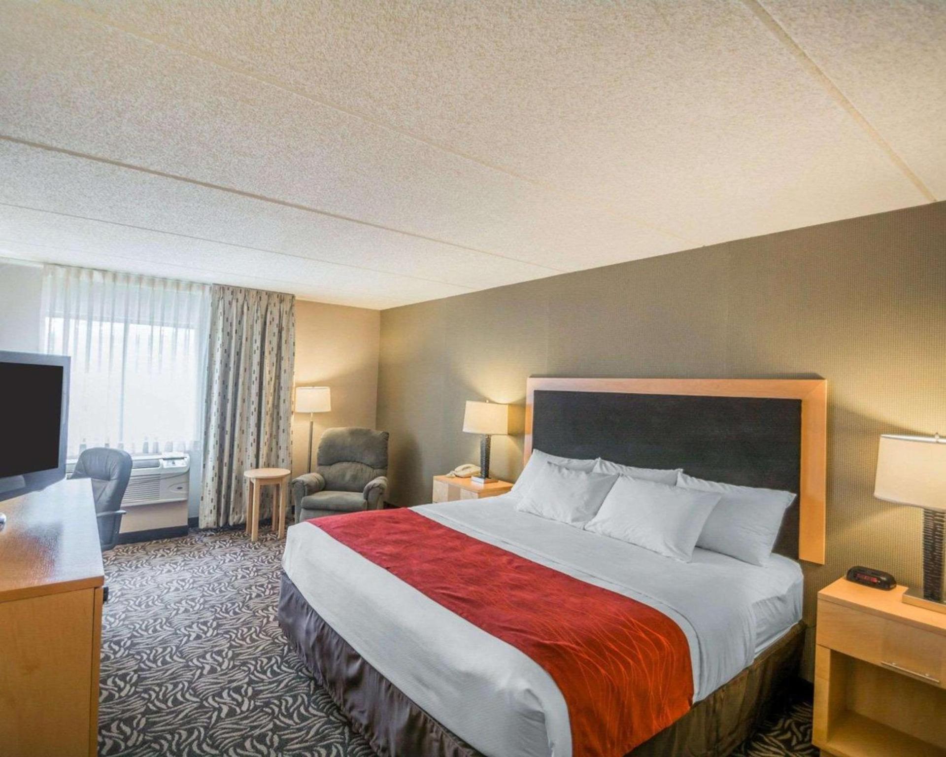 Comfort Inn - NYS Fairgrounds photo 33