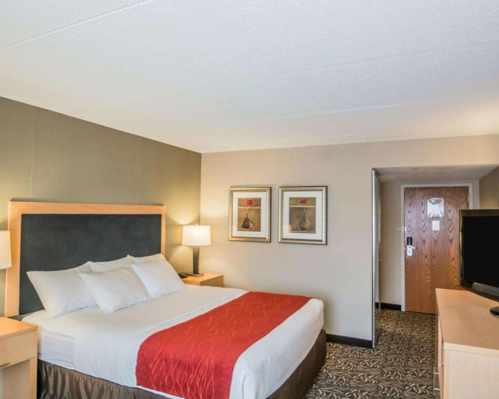 Comfort Inn - NYS Fairgrounds photo 11