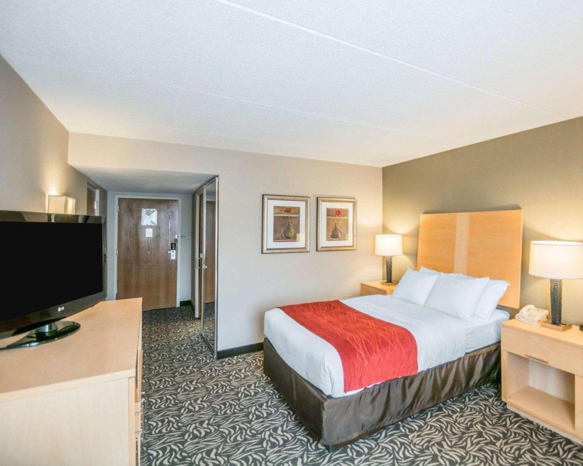 Comfort Inn - NYS Fairgrounds photo 9