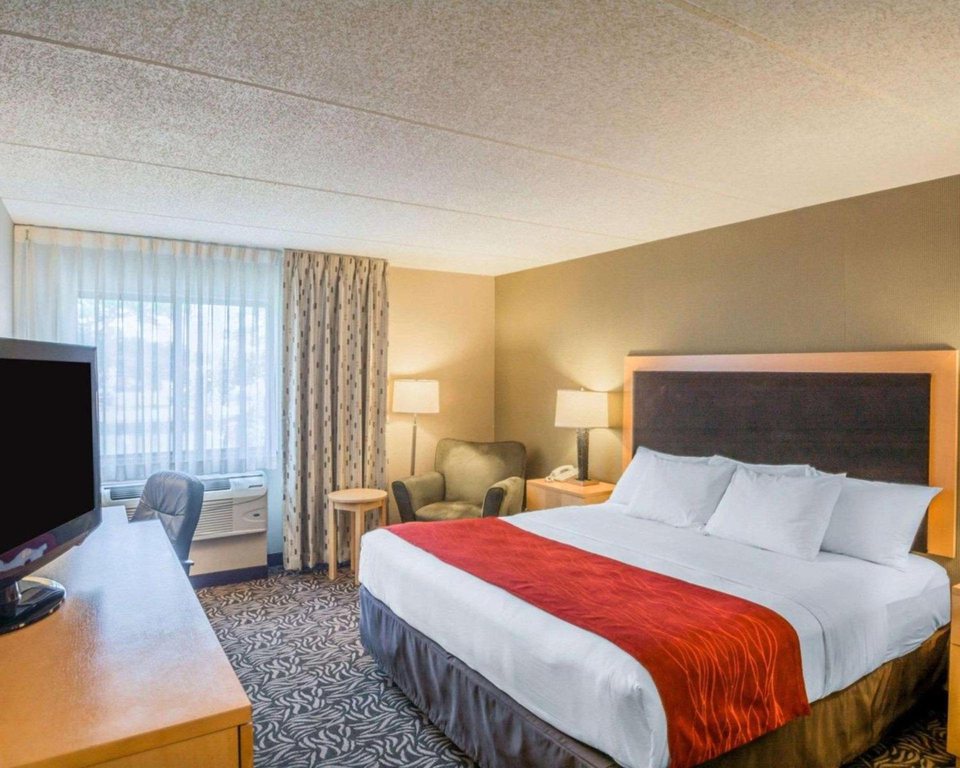 Comfort Inn - NYS Fairgrounds photo 17
