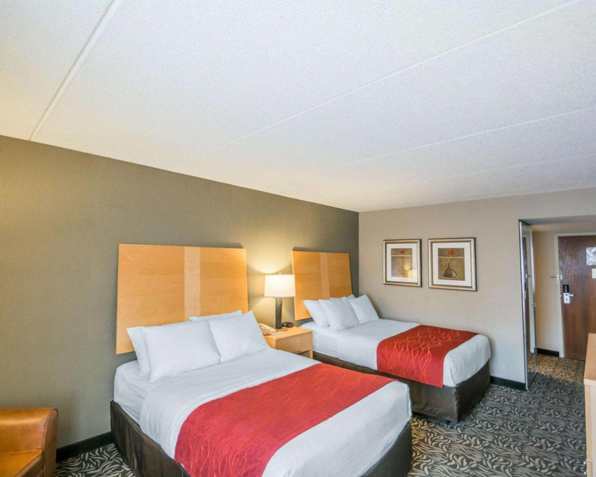 Comfort Inn - NYS Fairgrounds photo 12