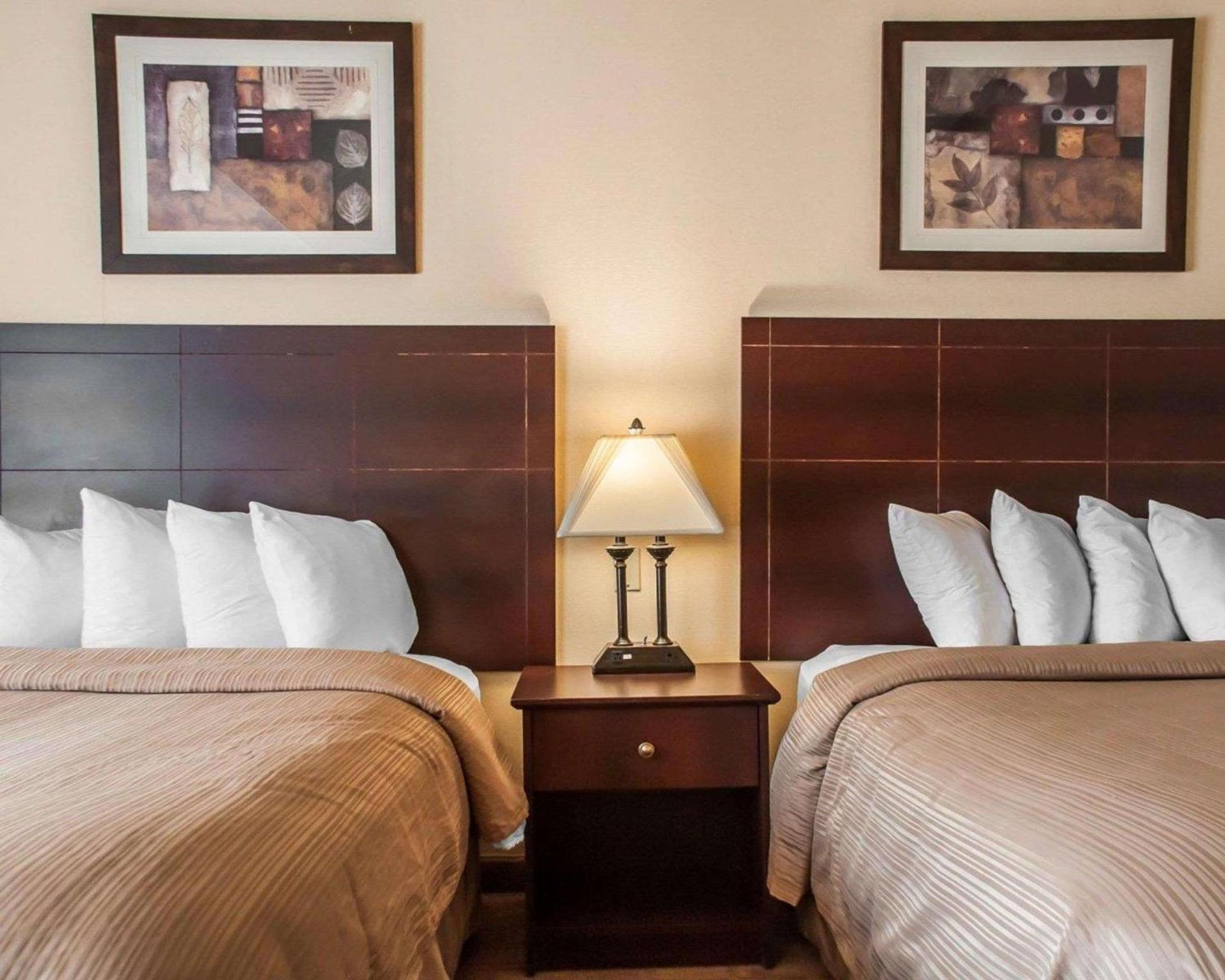 Quality Inn Buffalo Airport photo 11