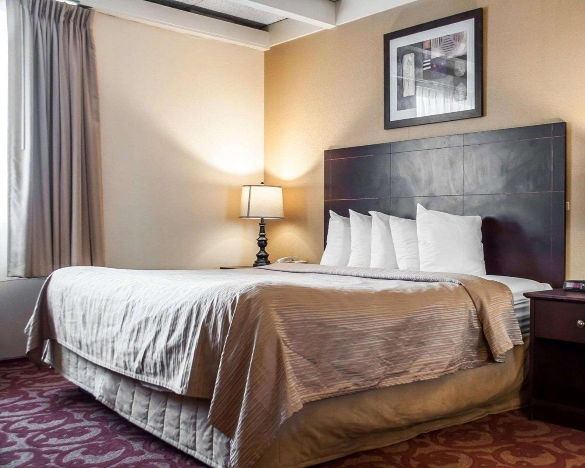 Quality Inn Buffalo Airport photo 13