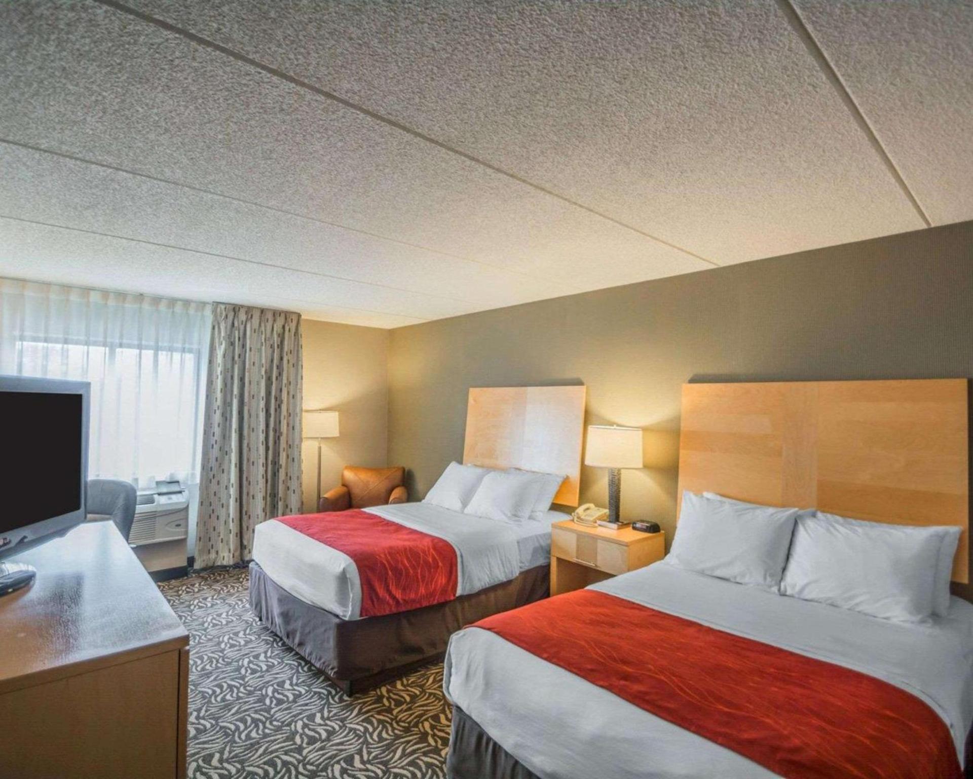 Comfort Inn - NYS Fairgrounds photo 14