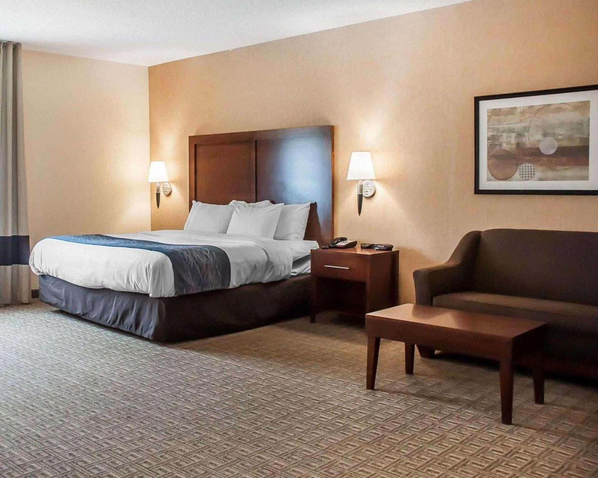 Comfort Inn & Suites Hamburg - Buffalo South photo 21