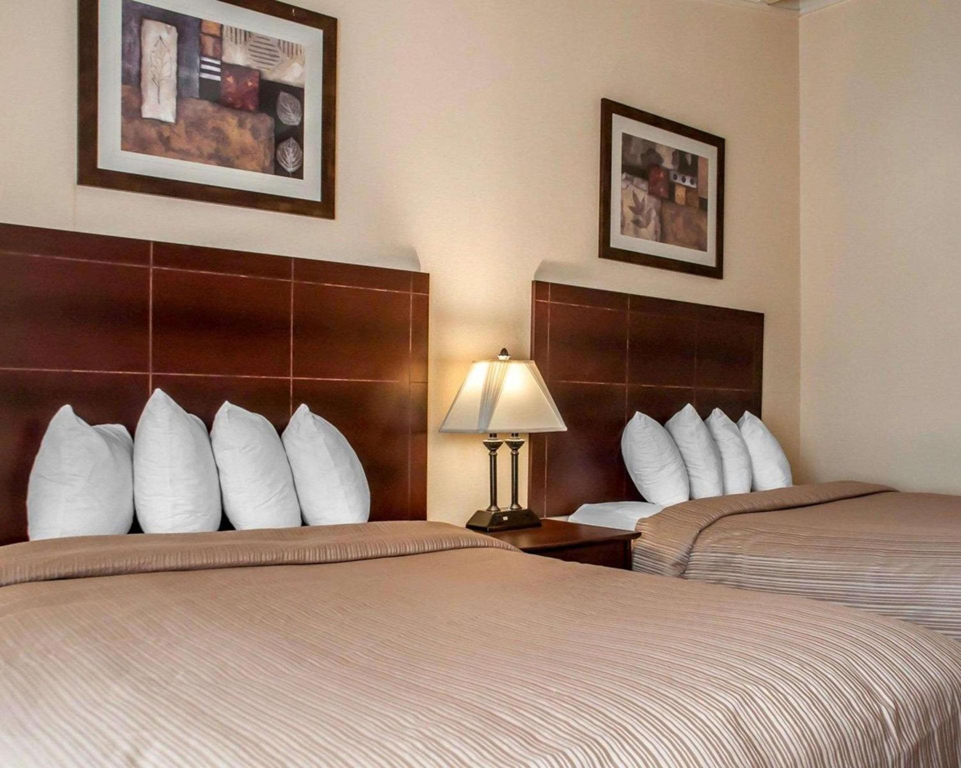 Quality Inn Buffalo Airport photo 14