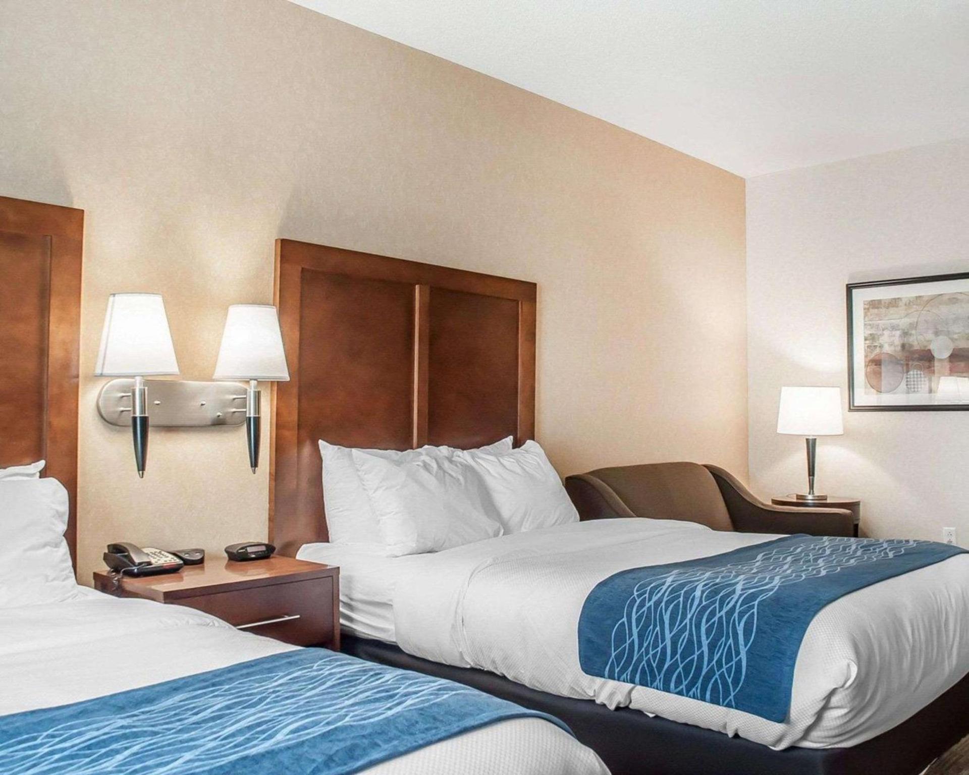 Comfort Inn & Suites Hamburg - Buffalo South photo 13