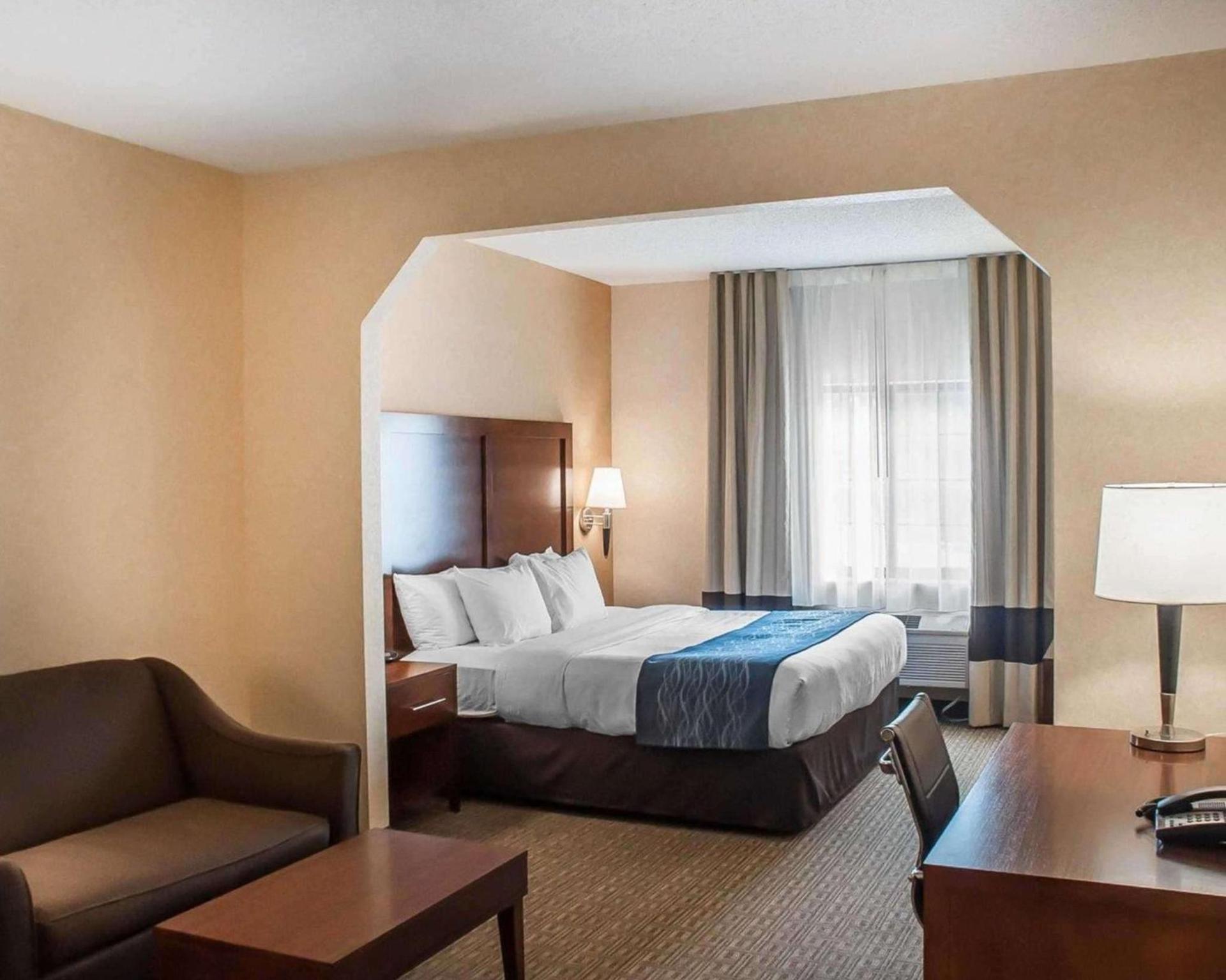 Comfort Inn & Suites Hamburg - Buffalo South photo 5