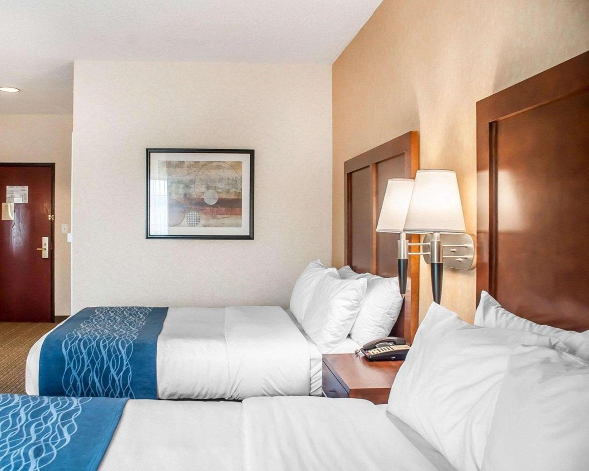 Comfort Inn & Suites Hamburg - Buffalo South photo 2
