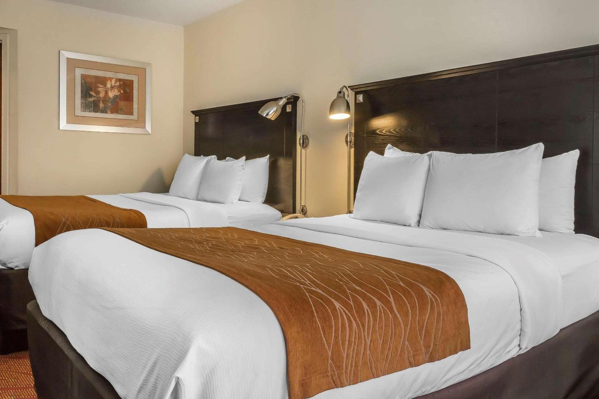Comfort Inn & Suites LaGuardia Airport photo 17