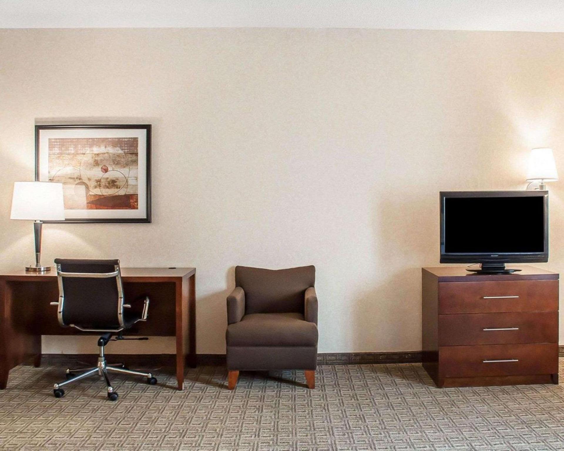 Comfort Inn & Suites Hamburg - Buffalo South photo 20