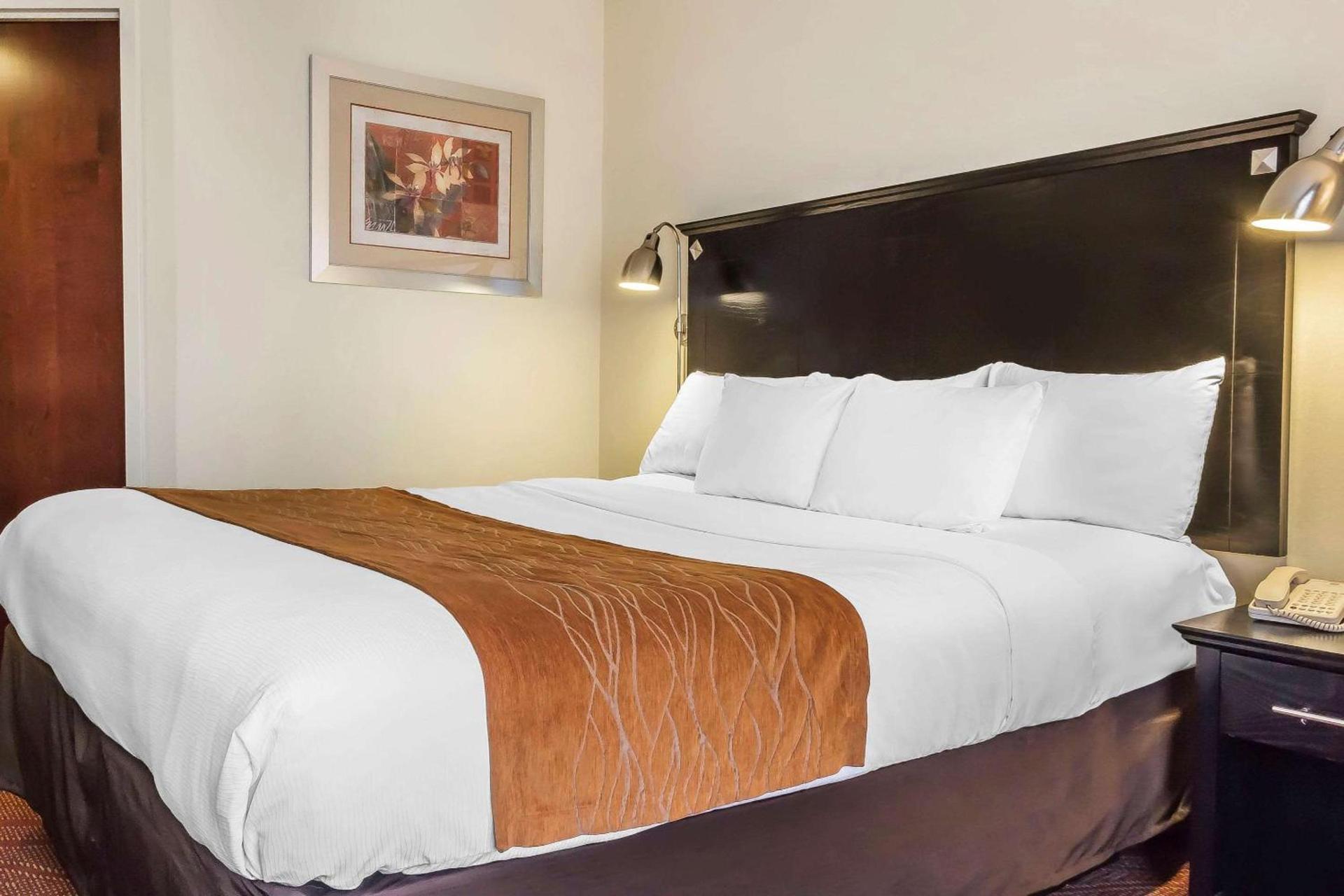 Comfort Inn & Suites LaGuardia Airport photo 28