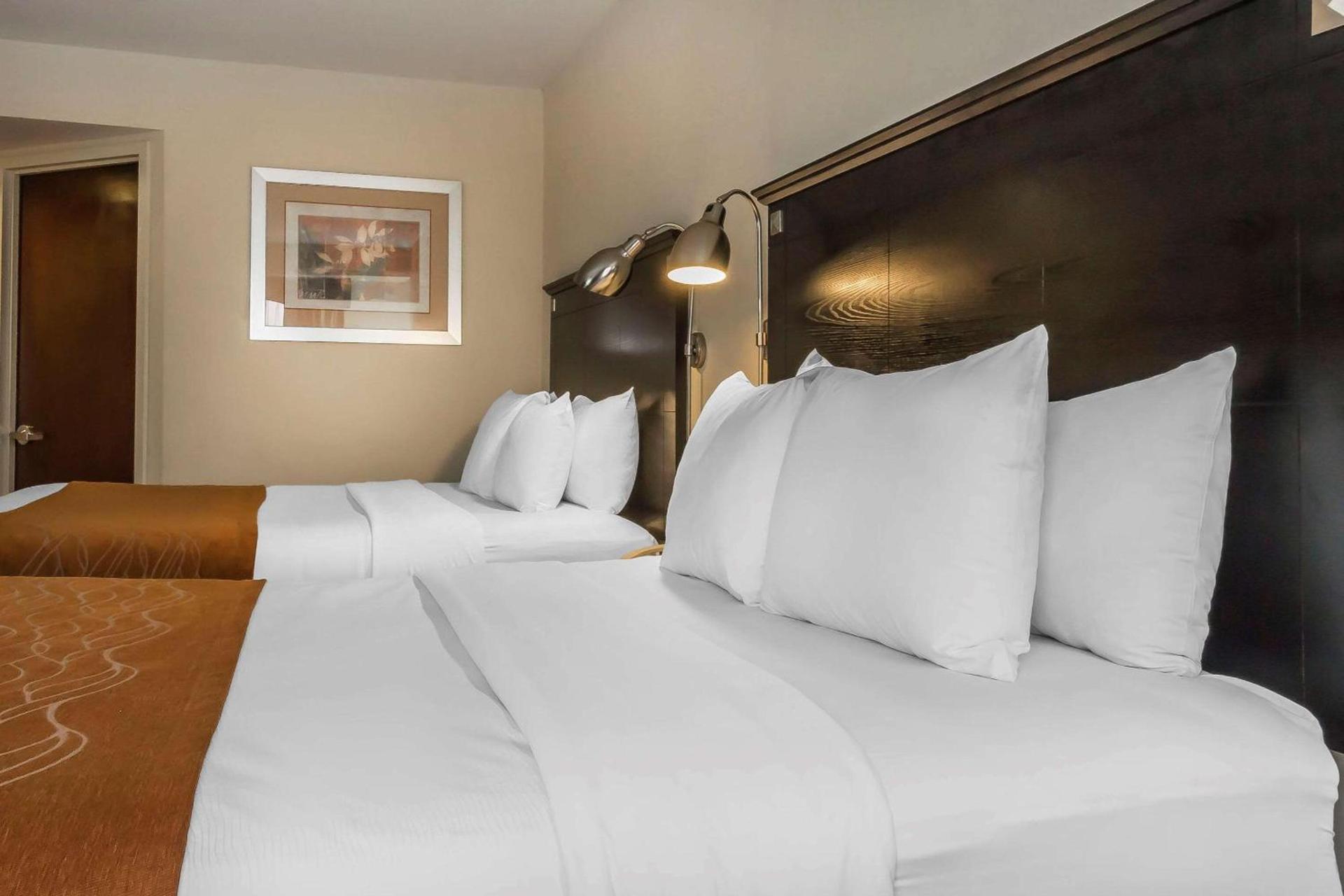 Comfort Inn & Suites LaGuardia Airport photo 31