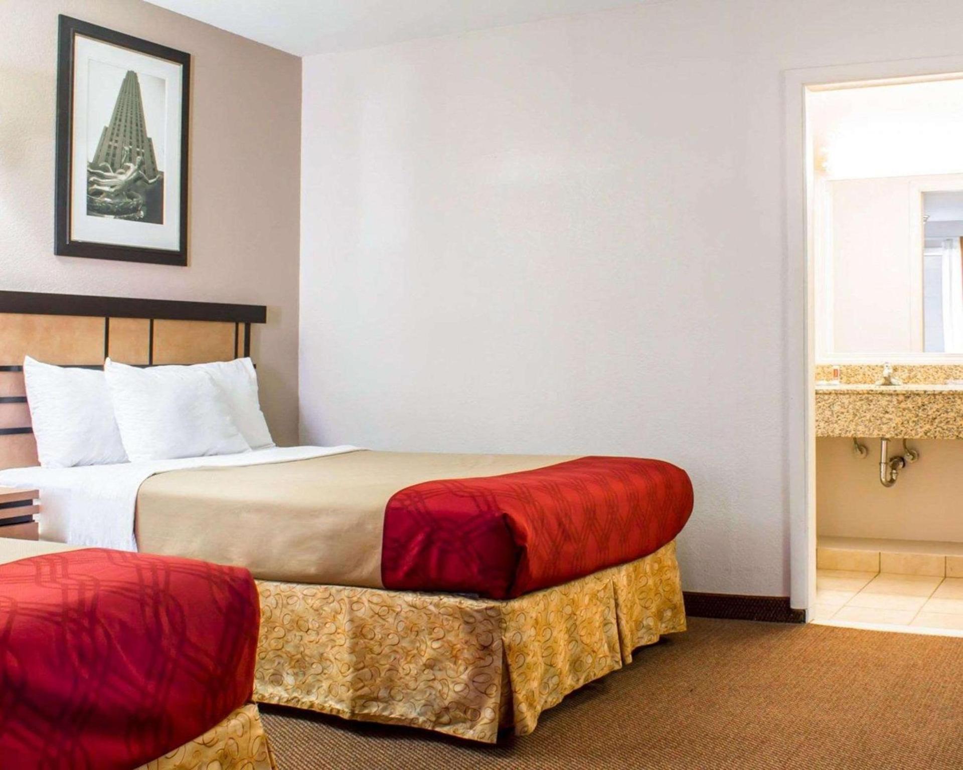 Econo Lodge Inn & Suites Colonie Center Mall photo 12