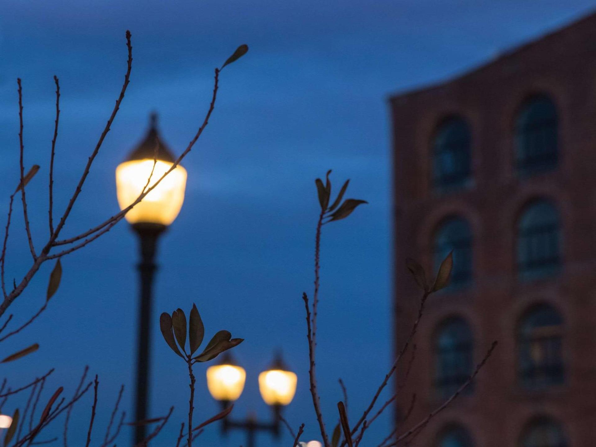 The Lodge Red Hook photo 45