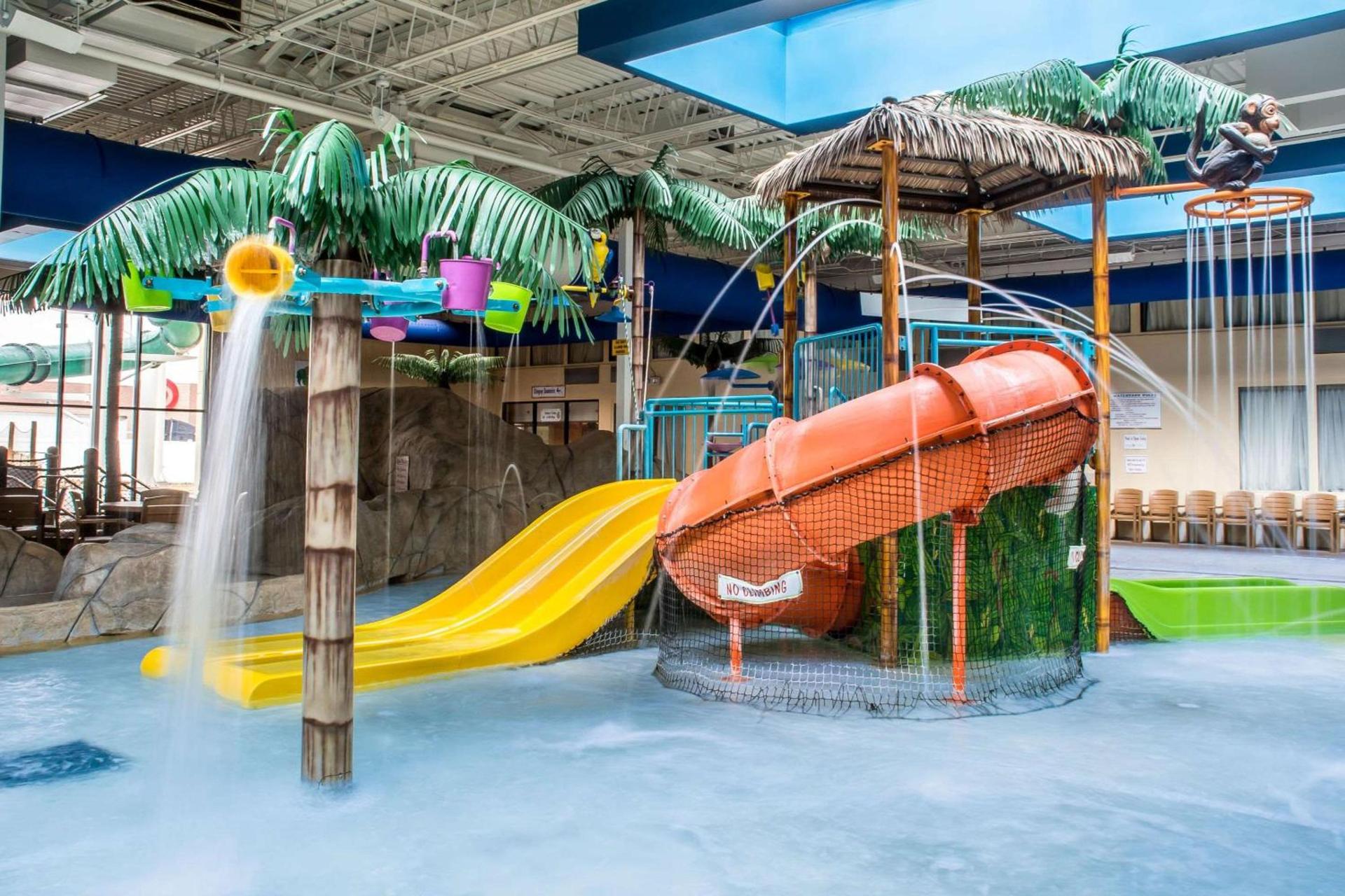 Quality Inn & Suites Palm Island Indoor Waterpark photo 21