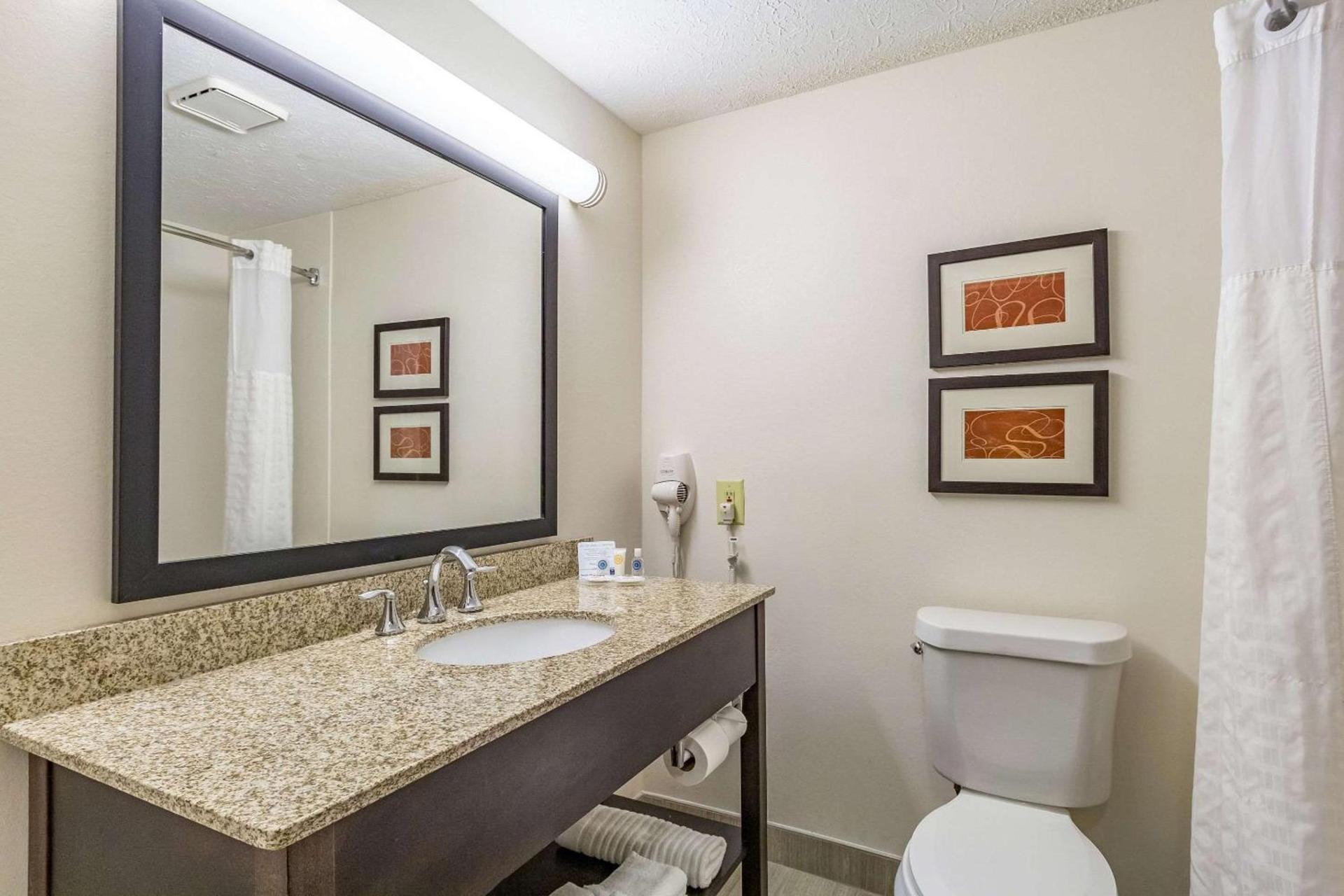 Comfort Inn Independence - Cleveland photo 33