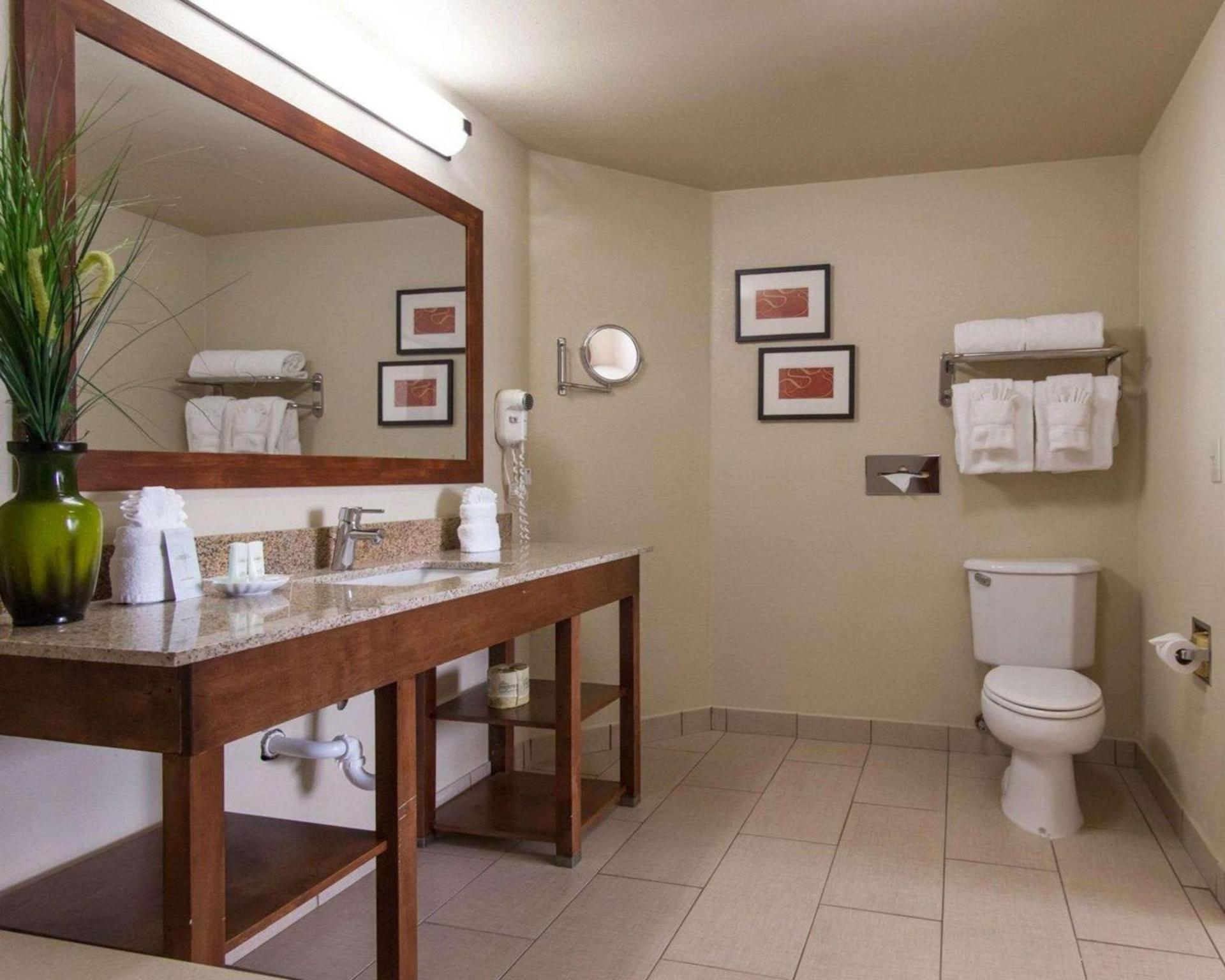 Comfort Suites Tulsa Central photo 4