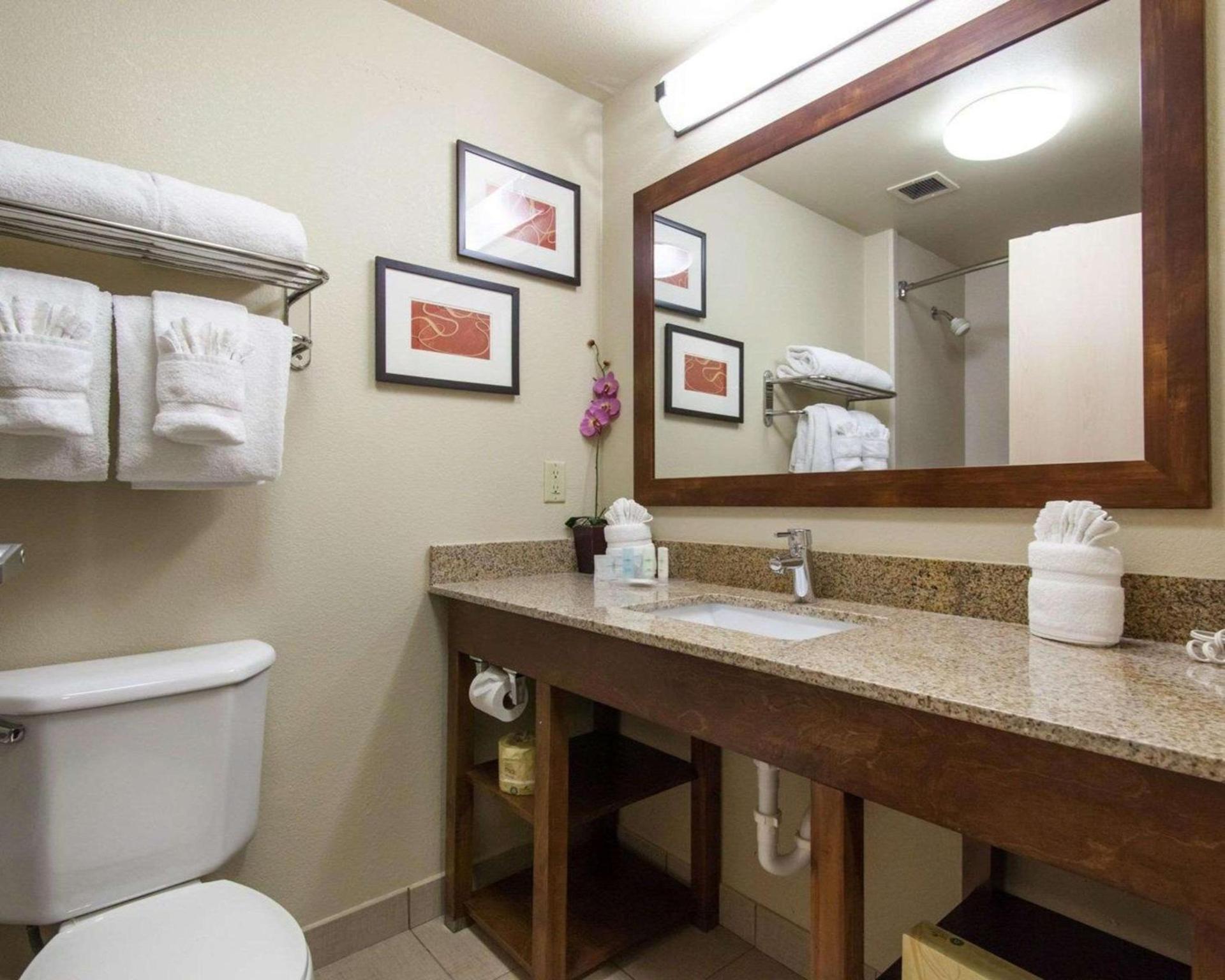 Comfort Suites Tulsa Central photo 3