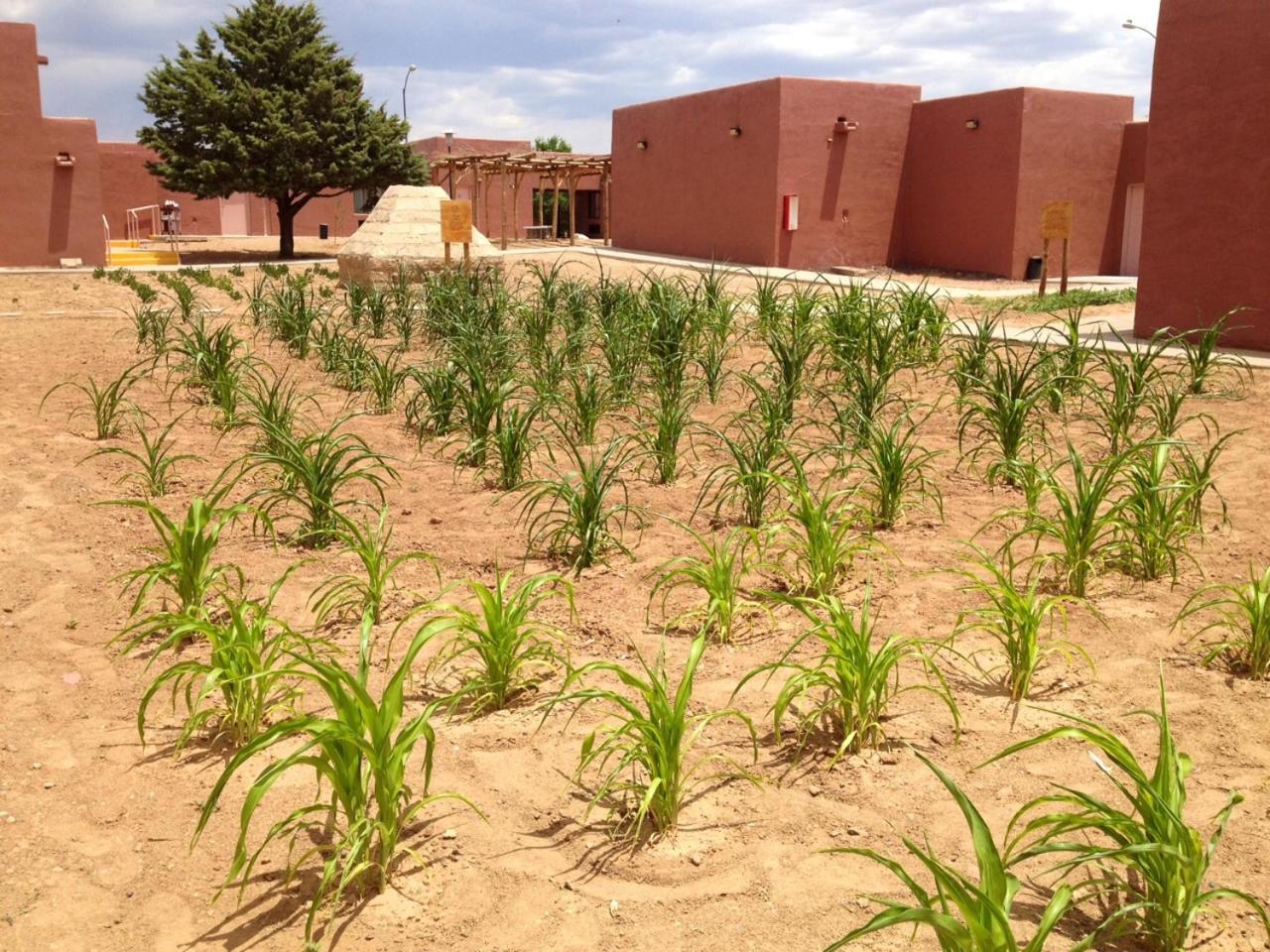 Hopi Cultural Center photo 14