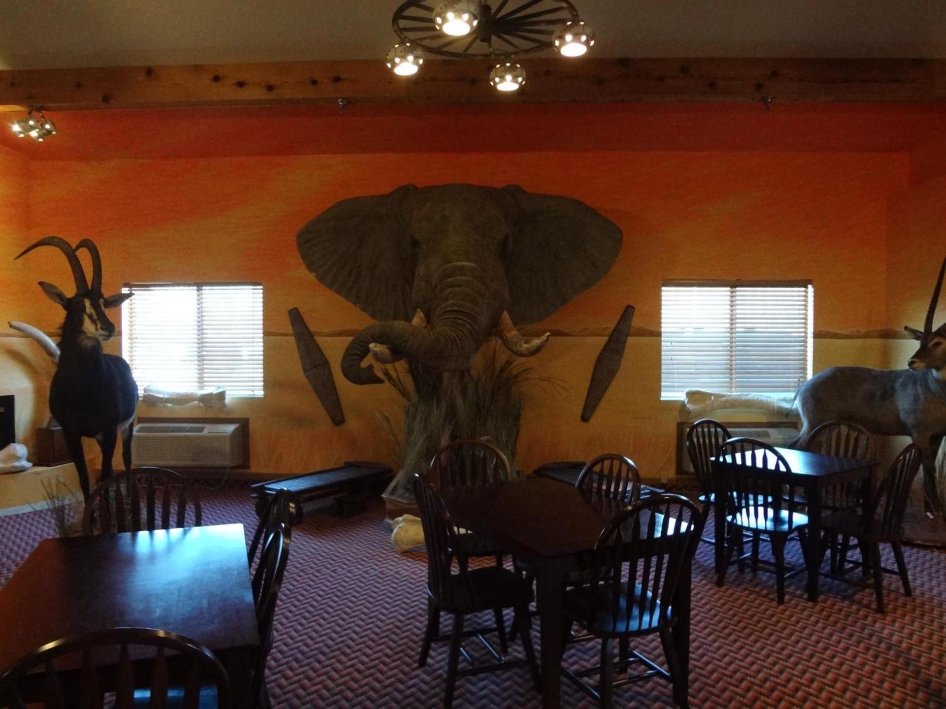Kings Inn Cody photo 53