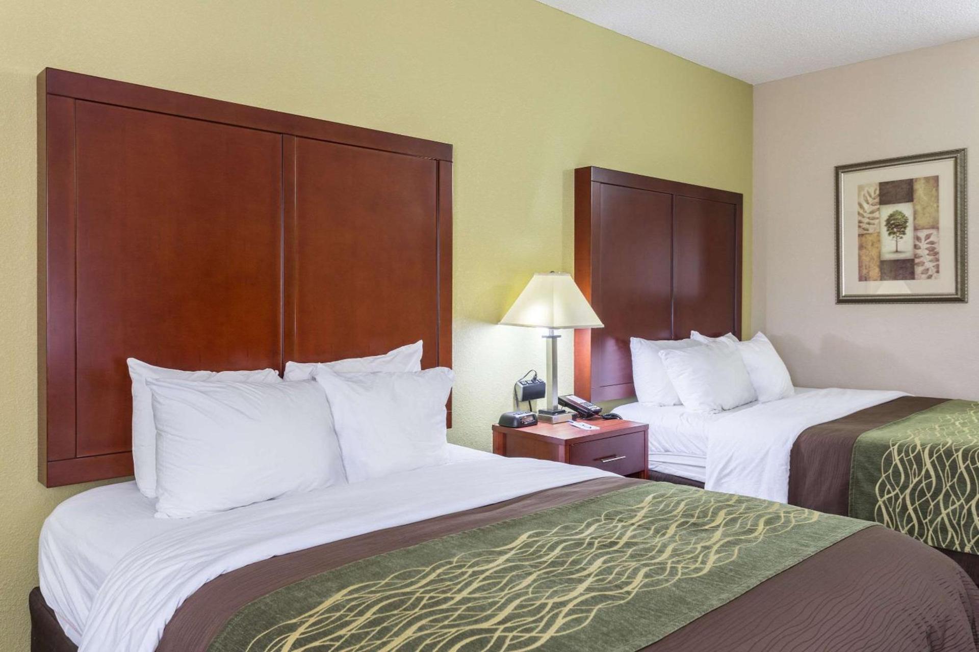 Comfort Inn Decatur Priceville photo 9