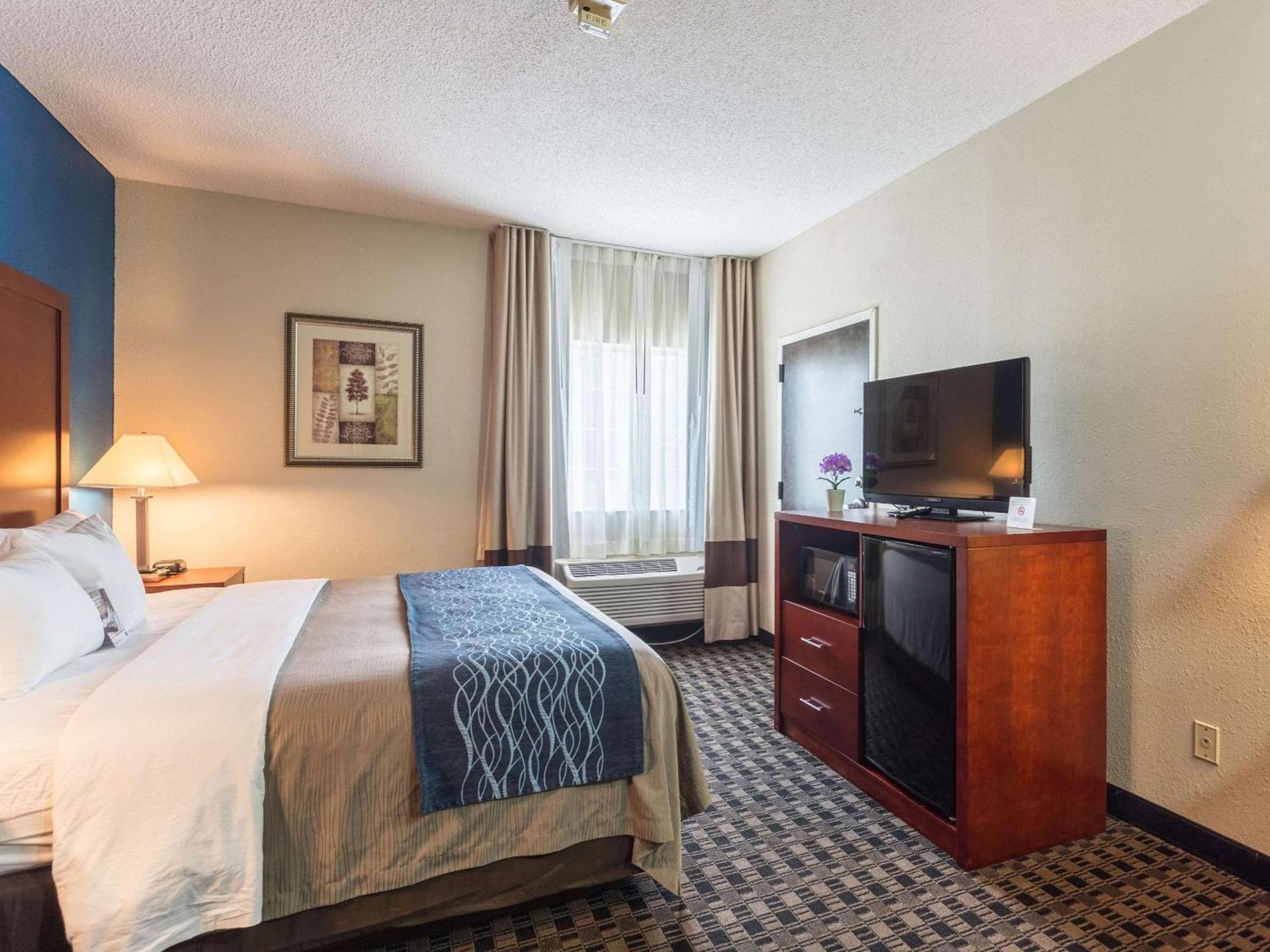 Comfort Inn Decatur Priceville photo 11