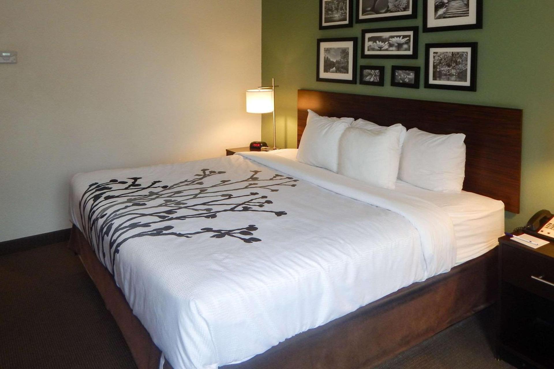 Sleep Inn & Suites Evergreen I-65 photo 10