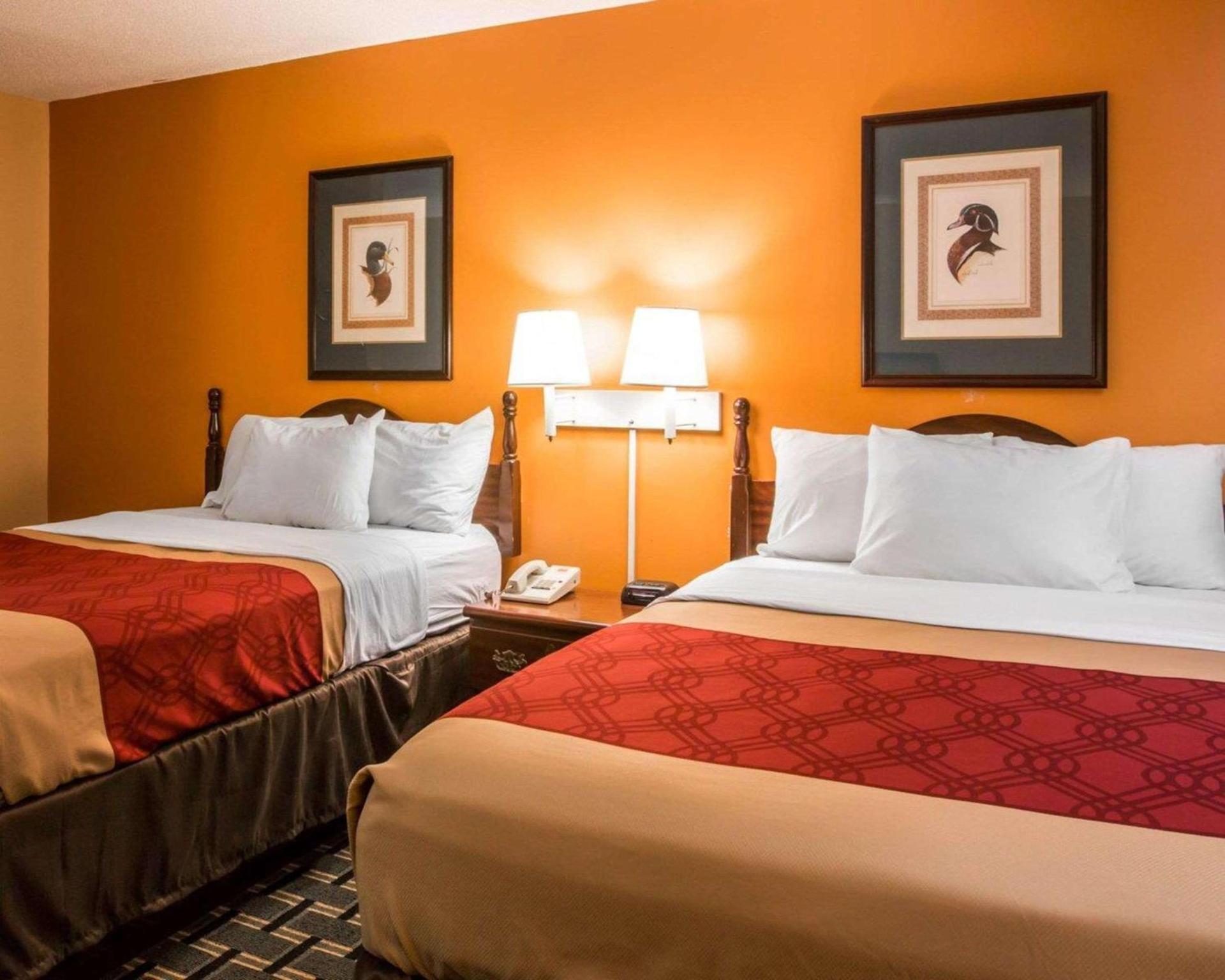 Econo Lodge Eufaula South photo 18