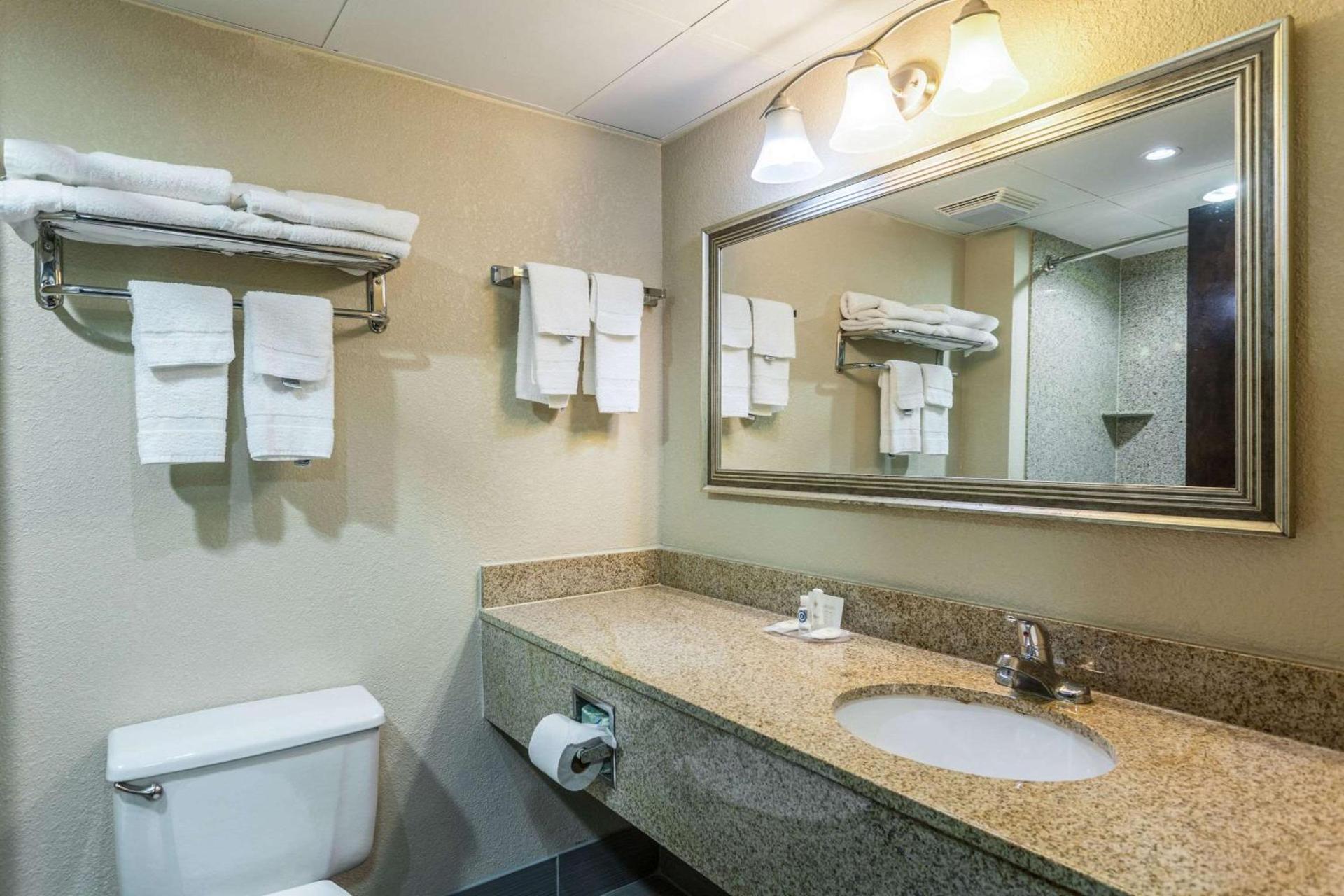 Comfort Inn Decatur Priceville photo 36