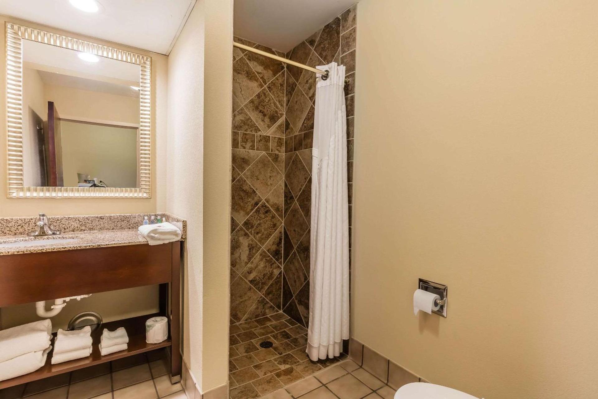 Comfort Inn & Suites Jasper Hwy 78 West photo 12