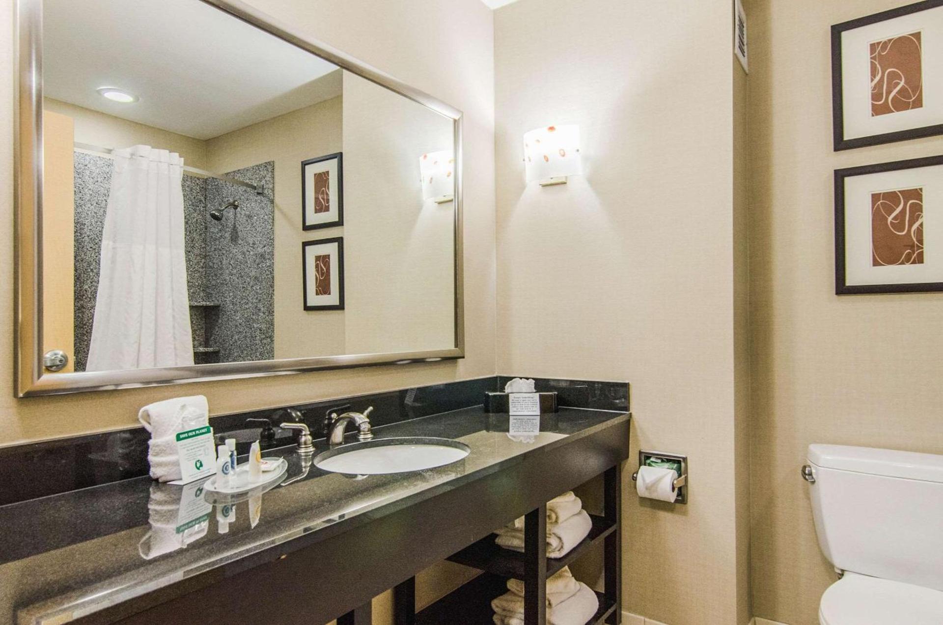 Comfort Suites Bentonville - Rogers photo 18