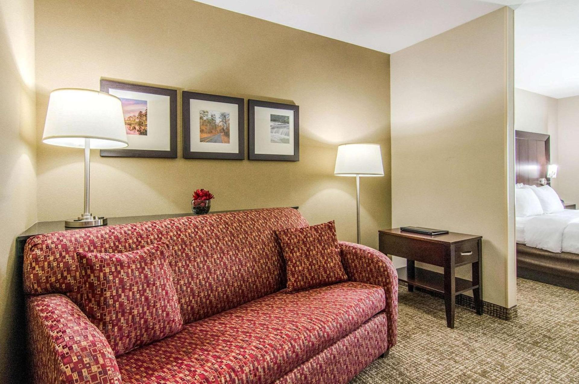 Comfort Suites Bentonville - Rogers photo 8