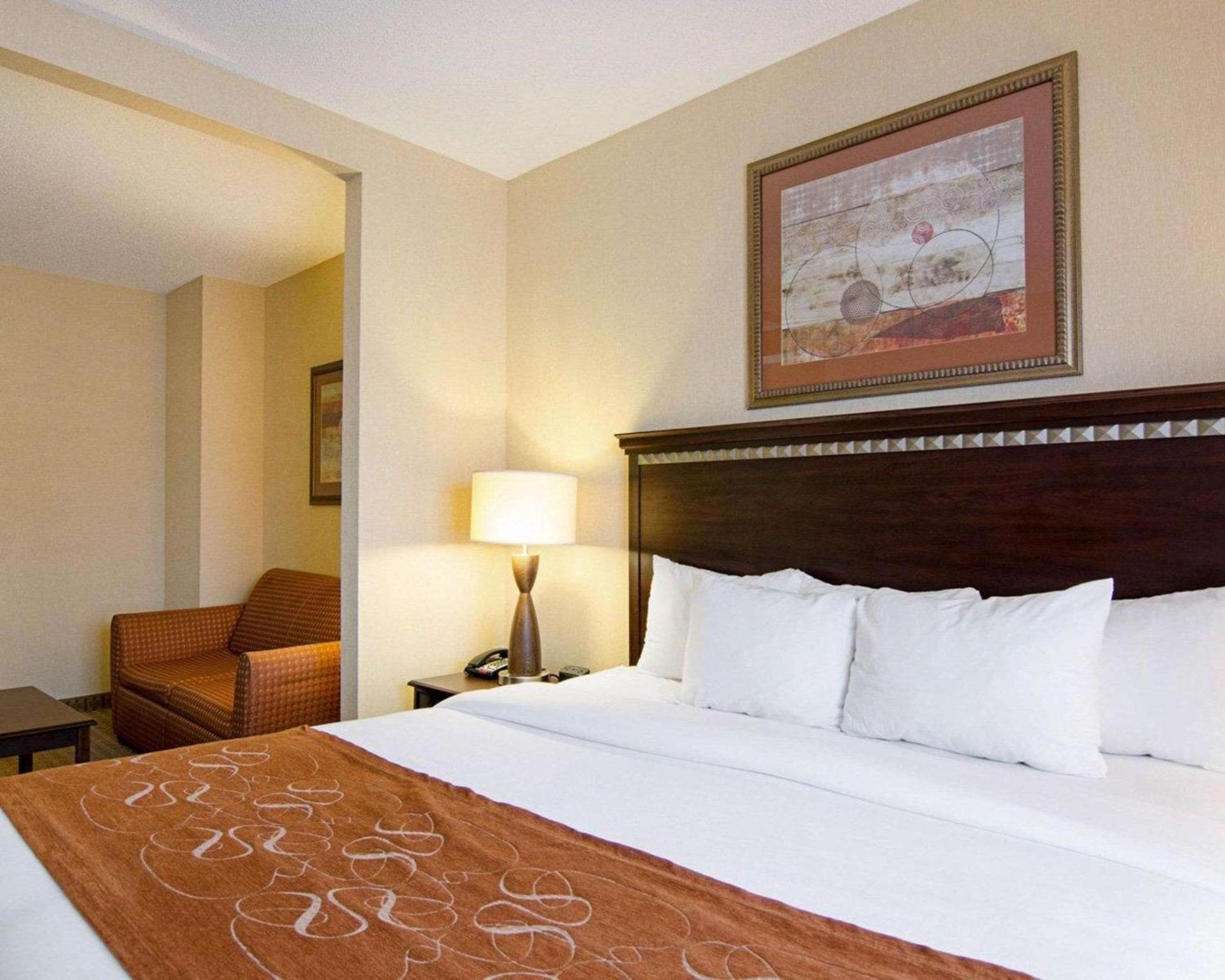 Comfort Suites Conway photo 14