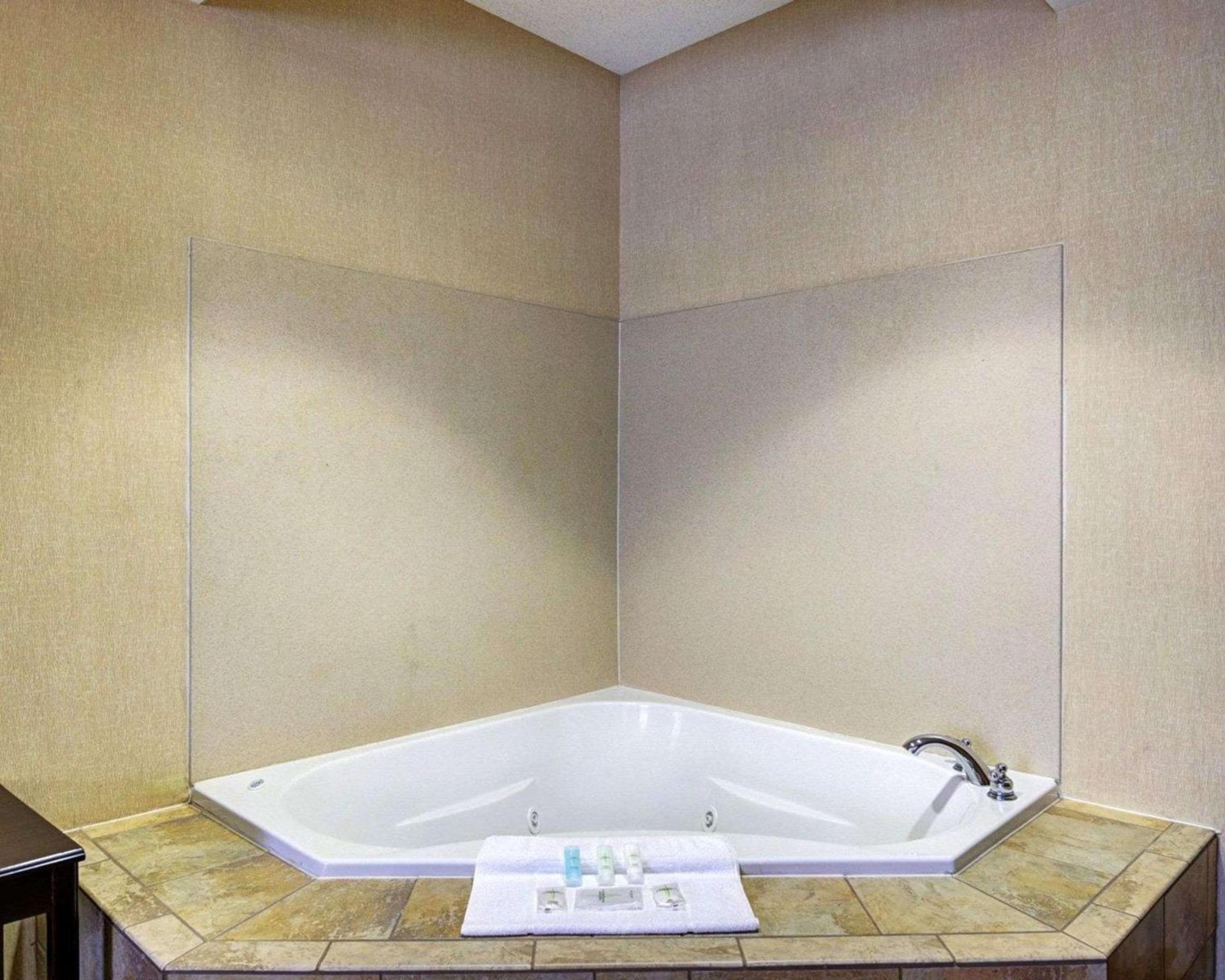 Comfort Suites Conway photo 6
