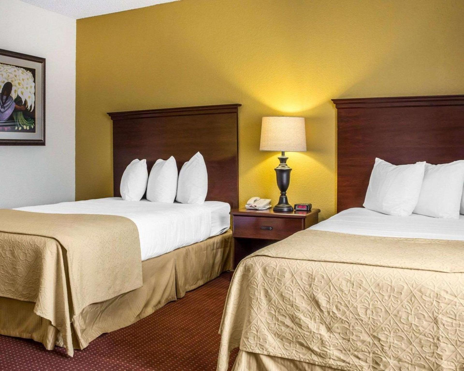Hotel Americana photo 11