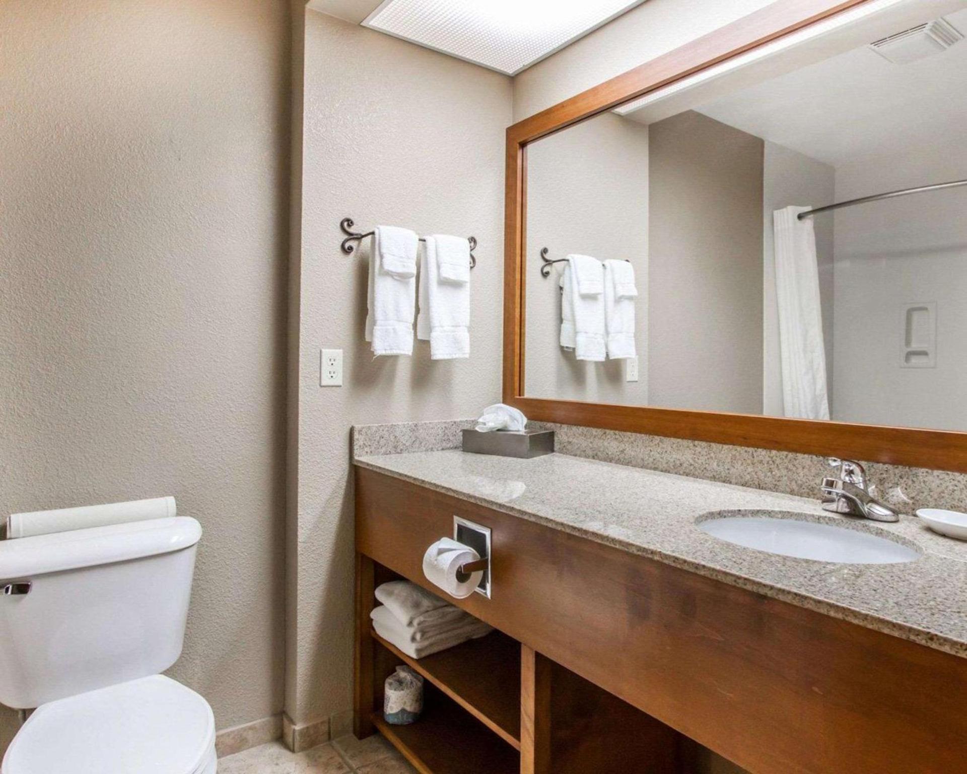 Comfort Inn Benson near Kartchner Caverns photo 11