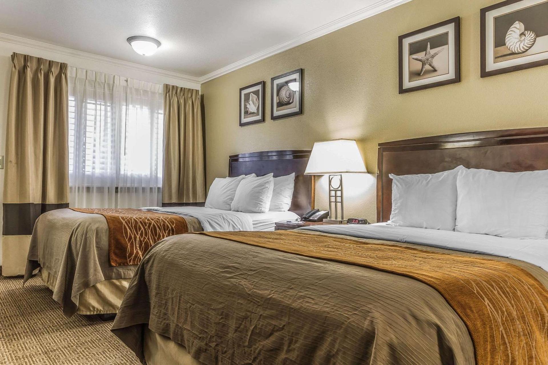 Comfort Inn Santa Cruz North photo 48