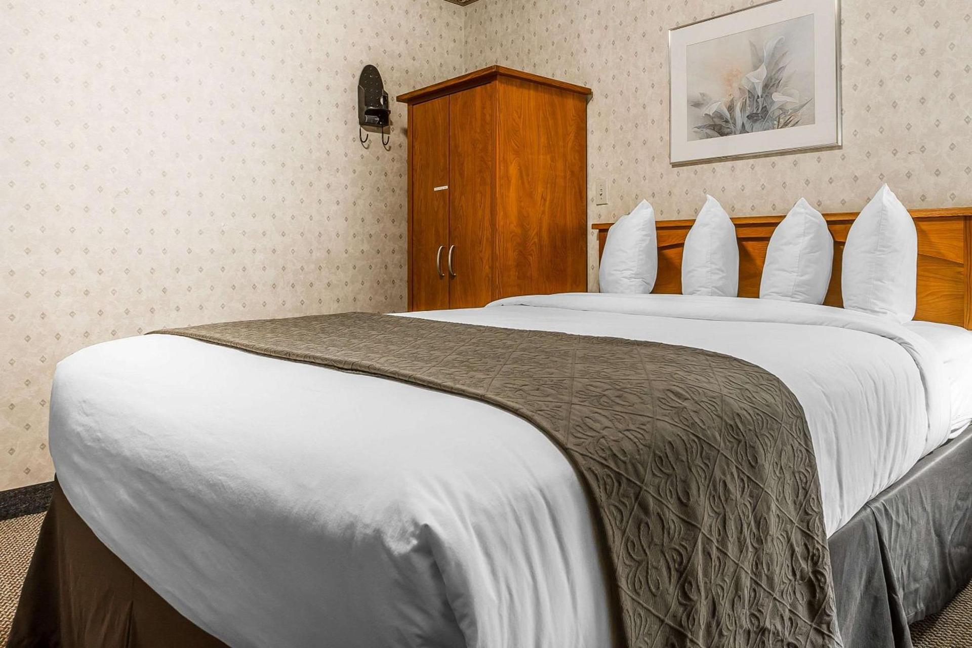 Quality Inn & Suites Silicon Valley photo 48