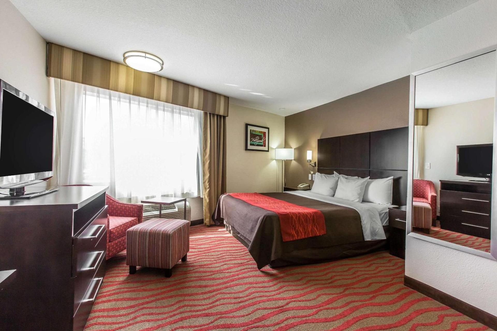 Comfort Inn Los Angeles near Hollywood photo 12