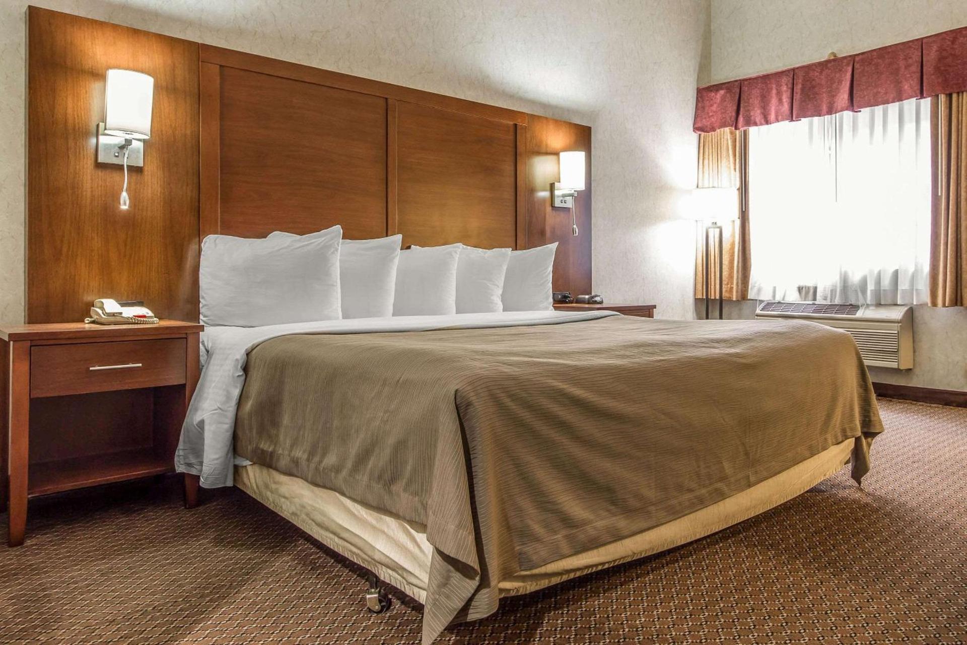 Quality Inn photo 19