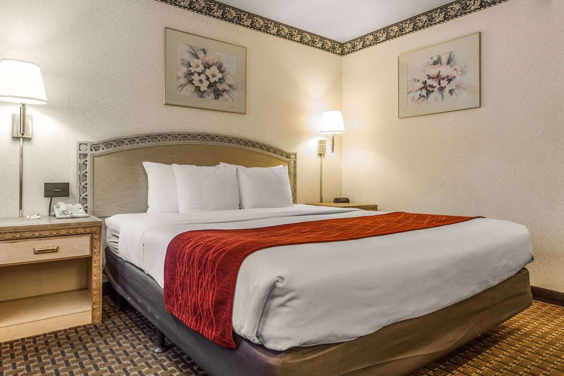 Comfort Inn Palo Alto photo 13