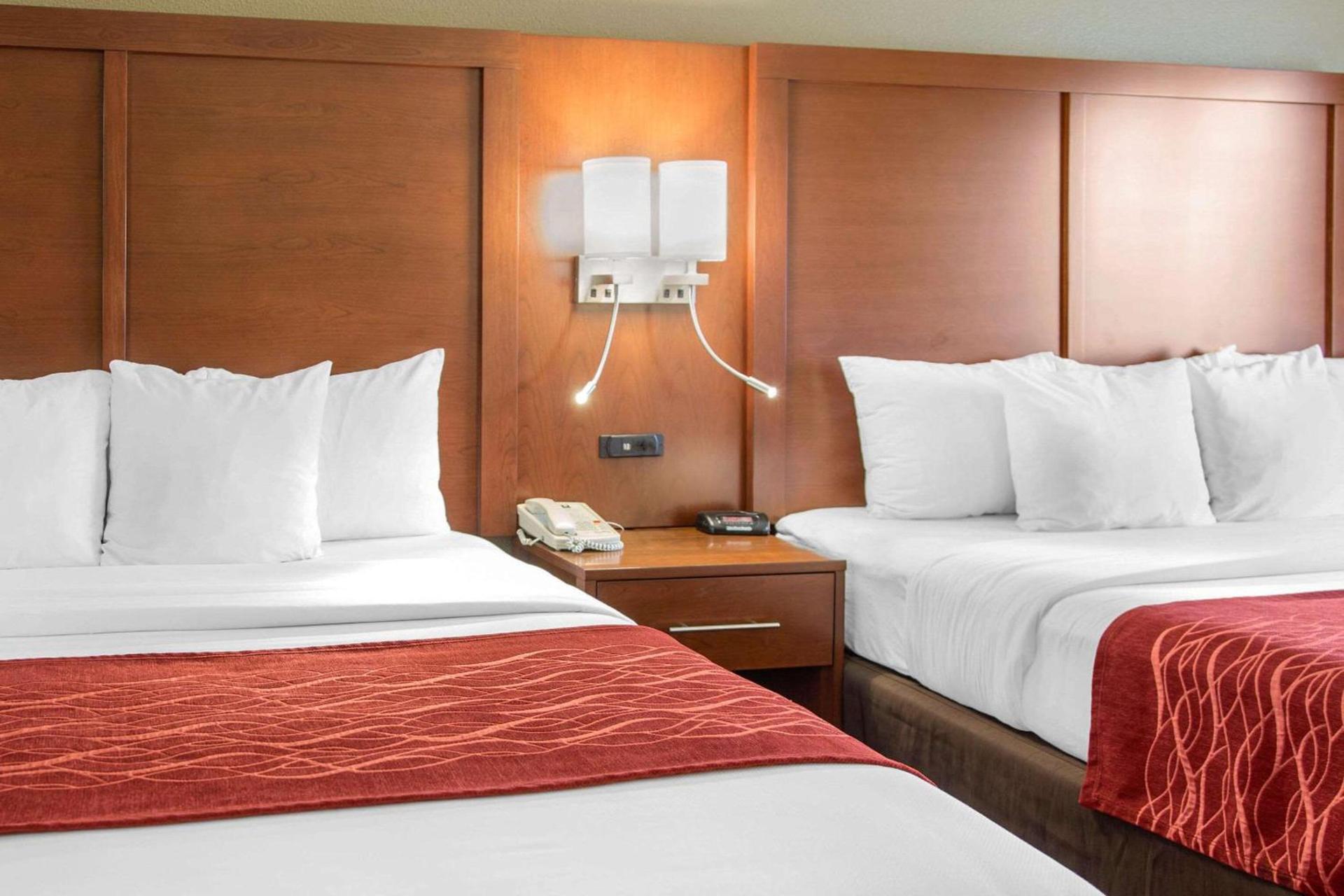 Comfort Inn & Suites San Francisco Airport North photo 9